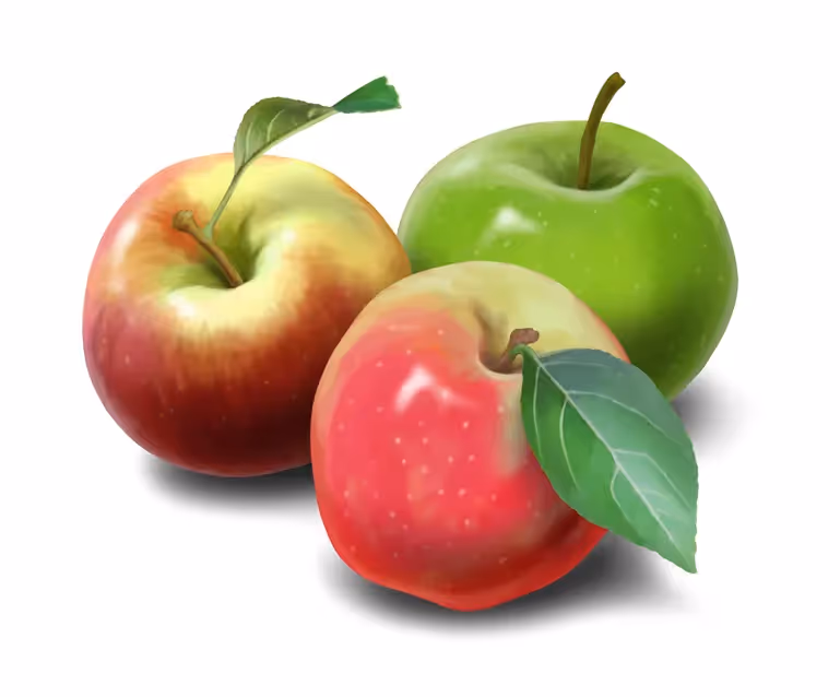 Tim Hunt - Illustrated Product Range for Ceres Organics Packaging