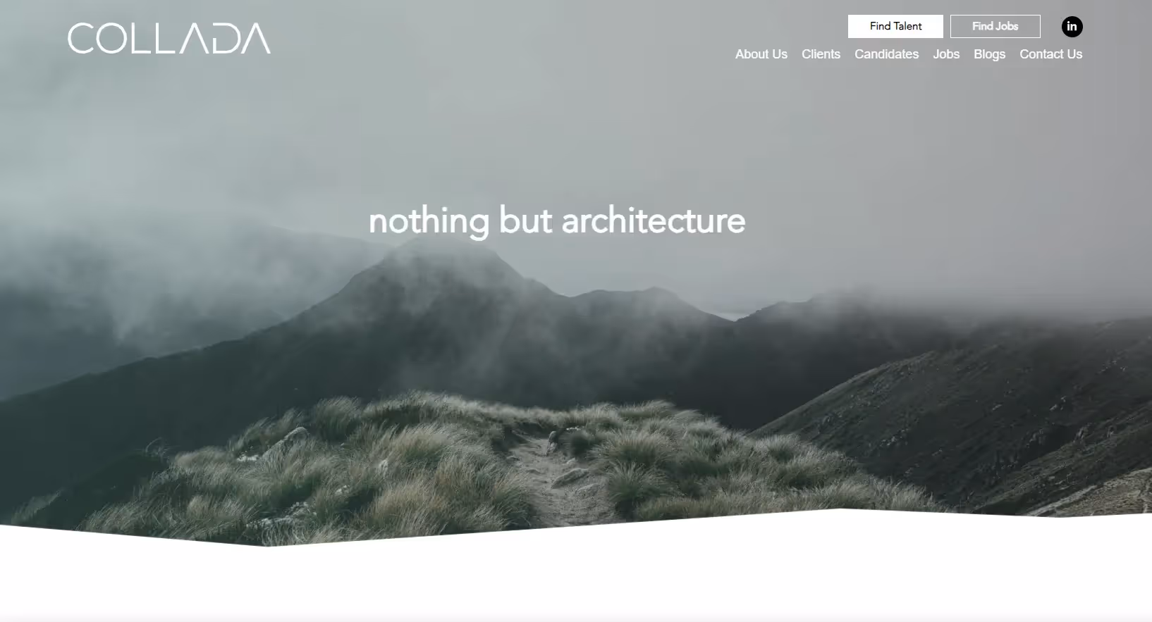 Sam Kay - Brand Strategy Workshop and Identity Development for Collada