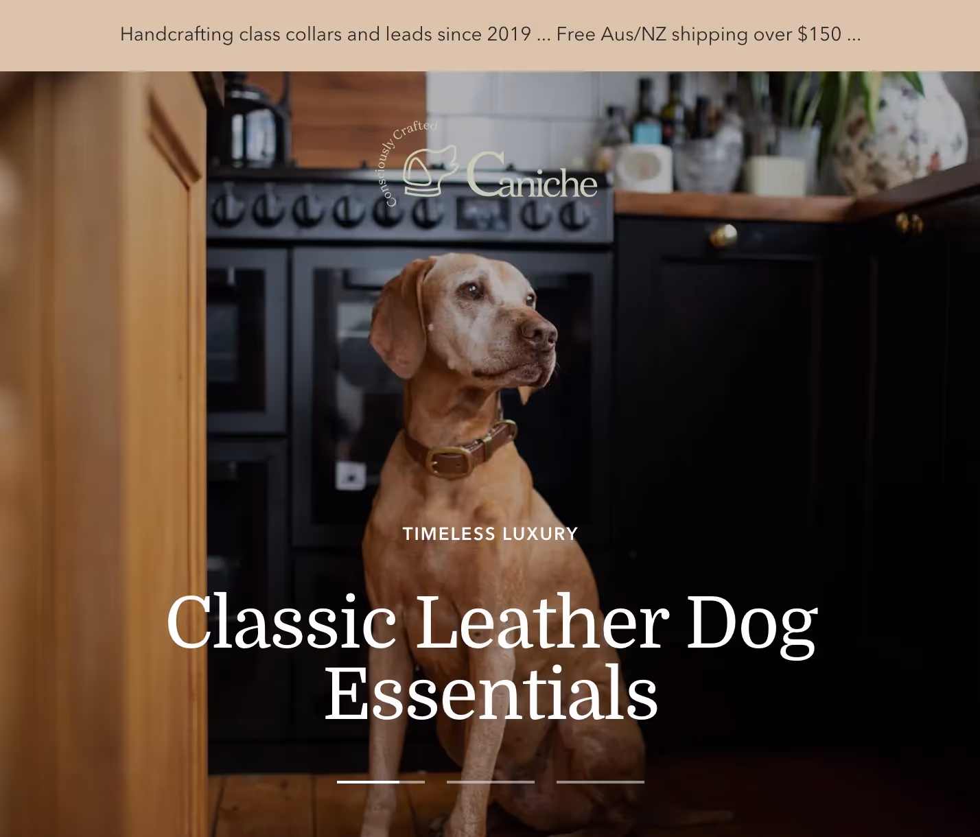 Susie Mackie - Website Copywriting for Cornerstones Ethical Leather Dog Collars