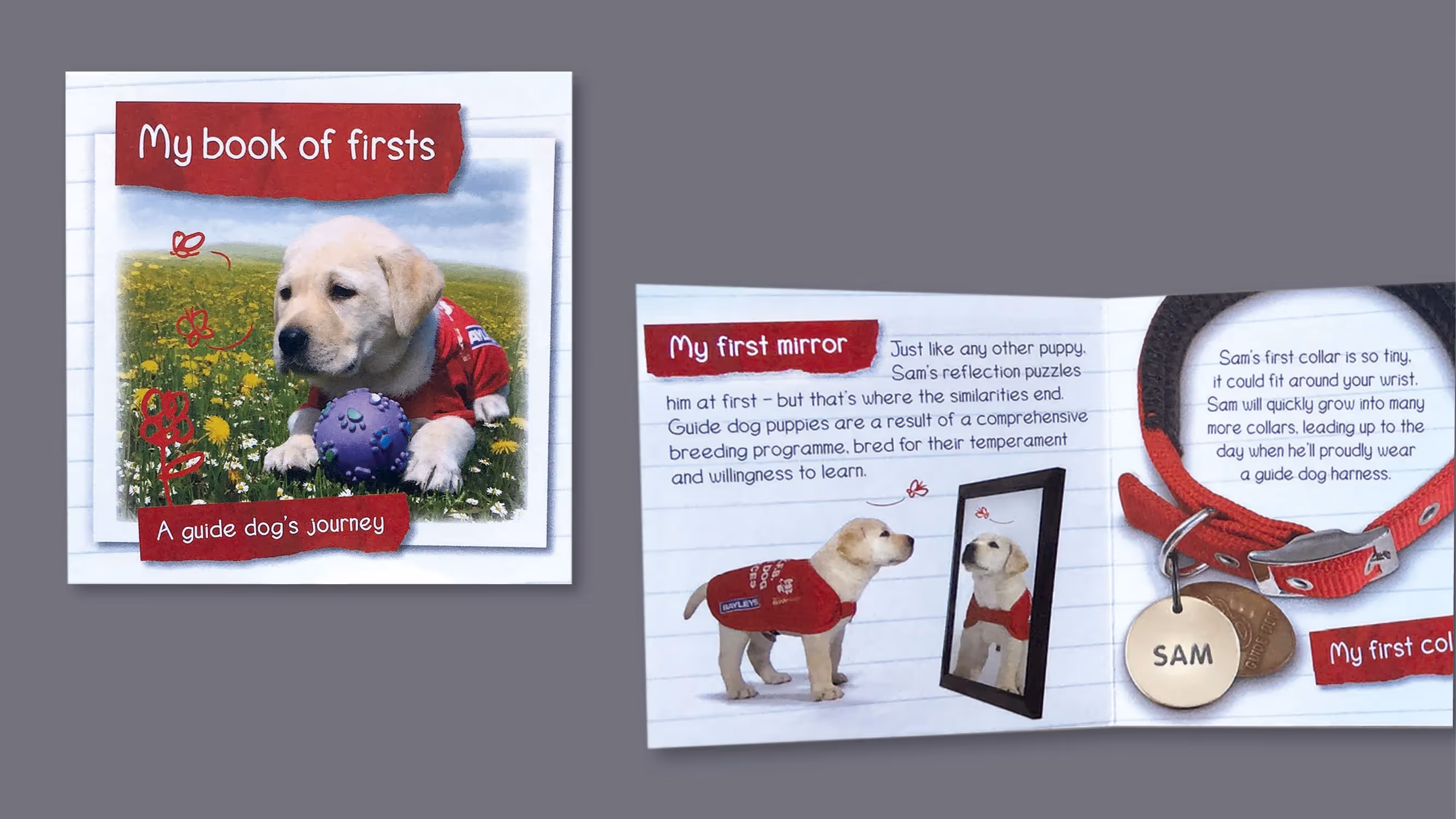 Dave Bolton - Booklet Design for Guide Dogs Fundraising Campaign