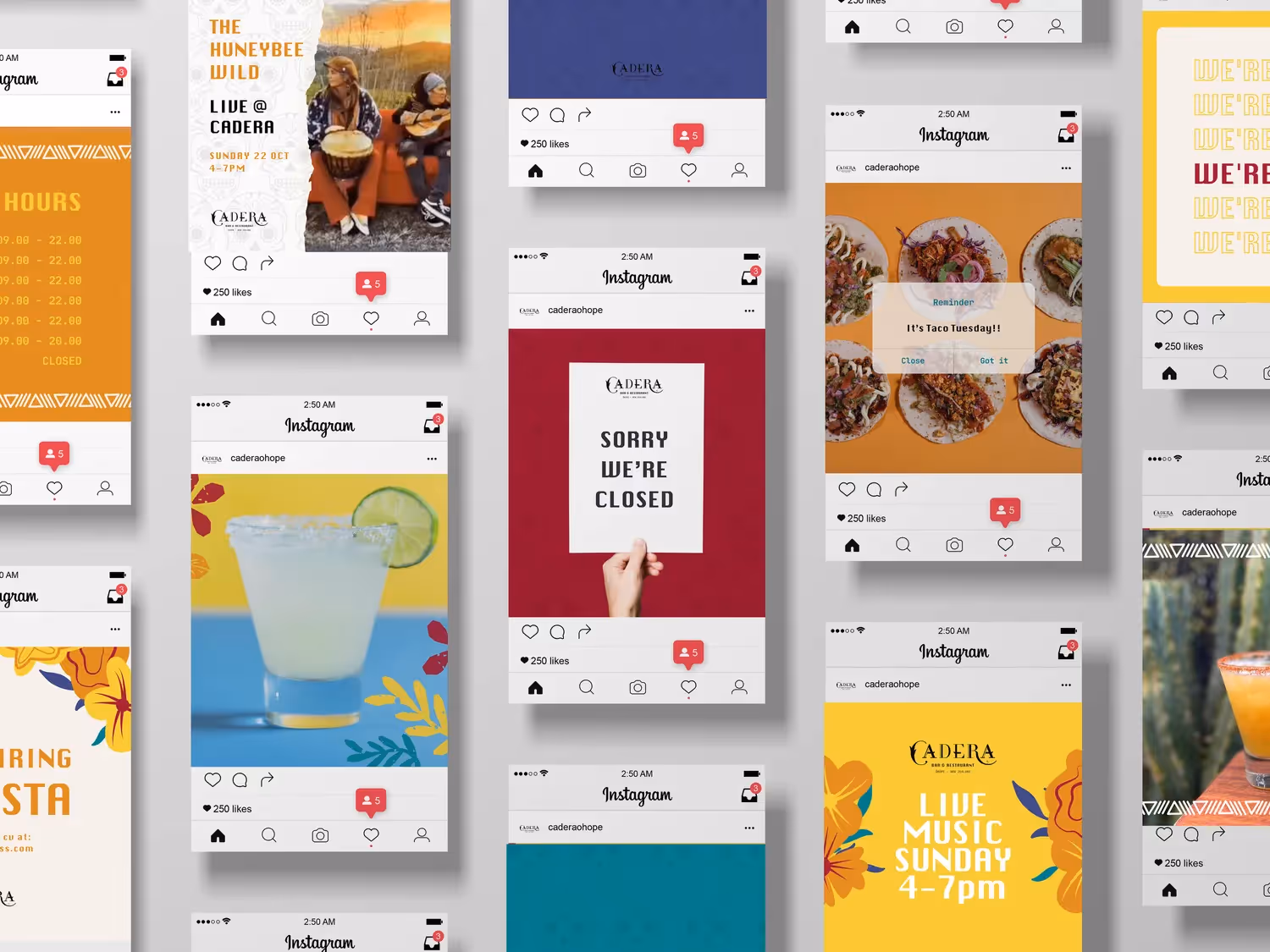 Carla James - Menu Redesign and Social Media Templates for Cadera Restaurant