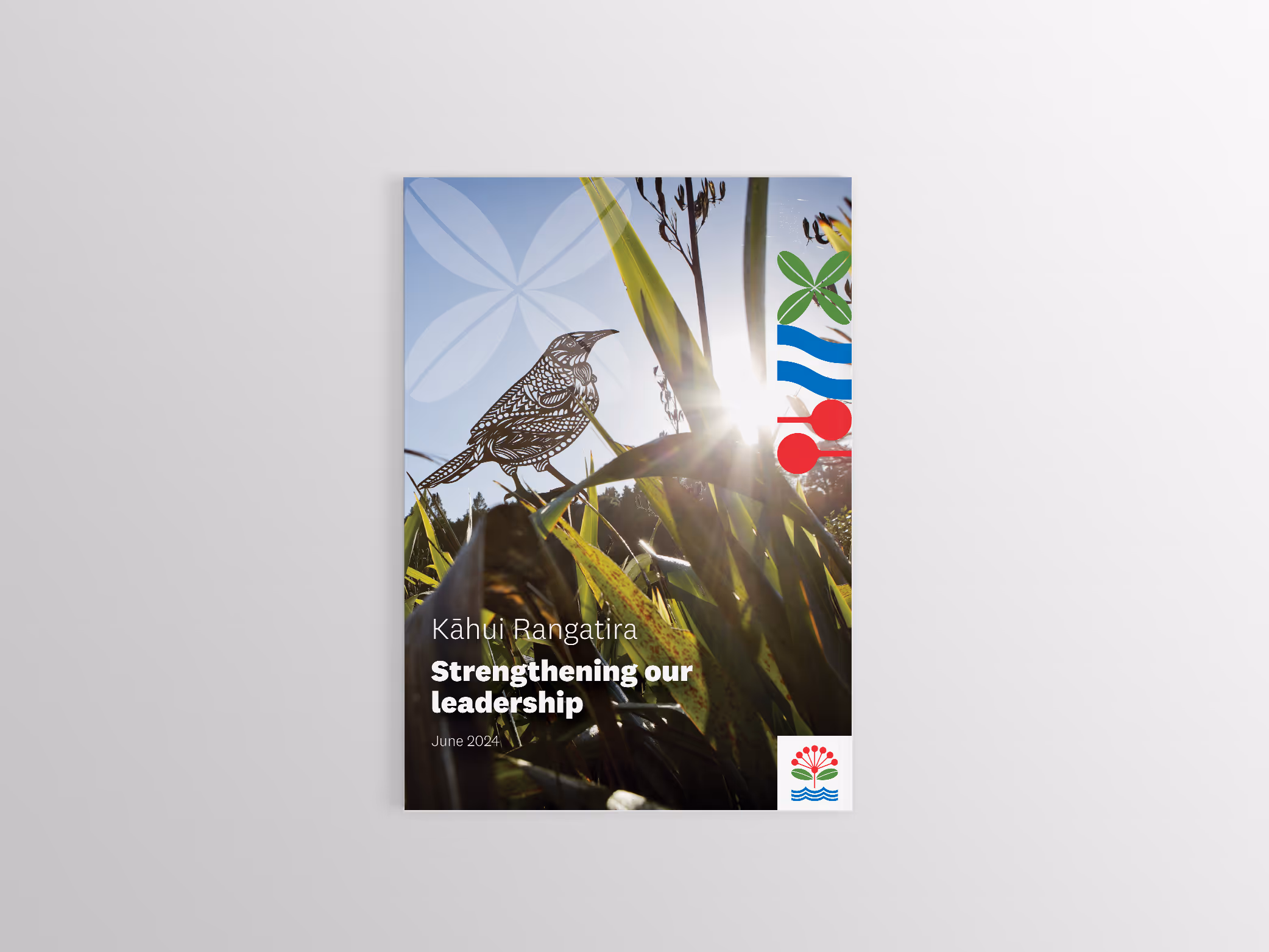 Rob Chapman - Strategic Report Design and Communication for Auckland Council