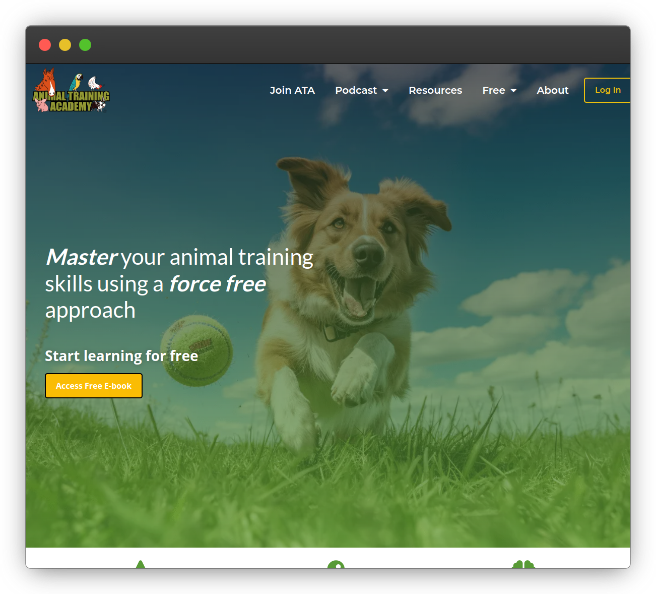 Jono Matla - Transforming Animal Training Academy's Membership Growth with Targeted Marketing Strategy