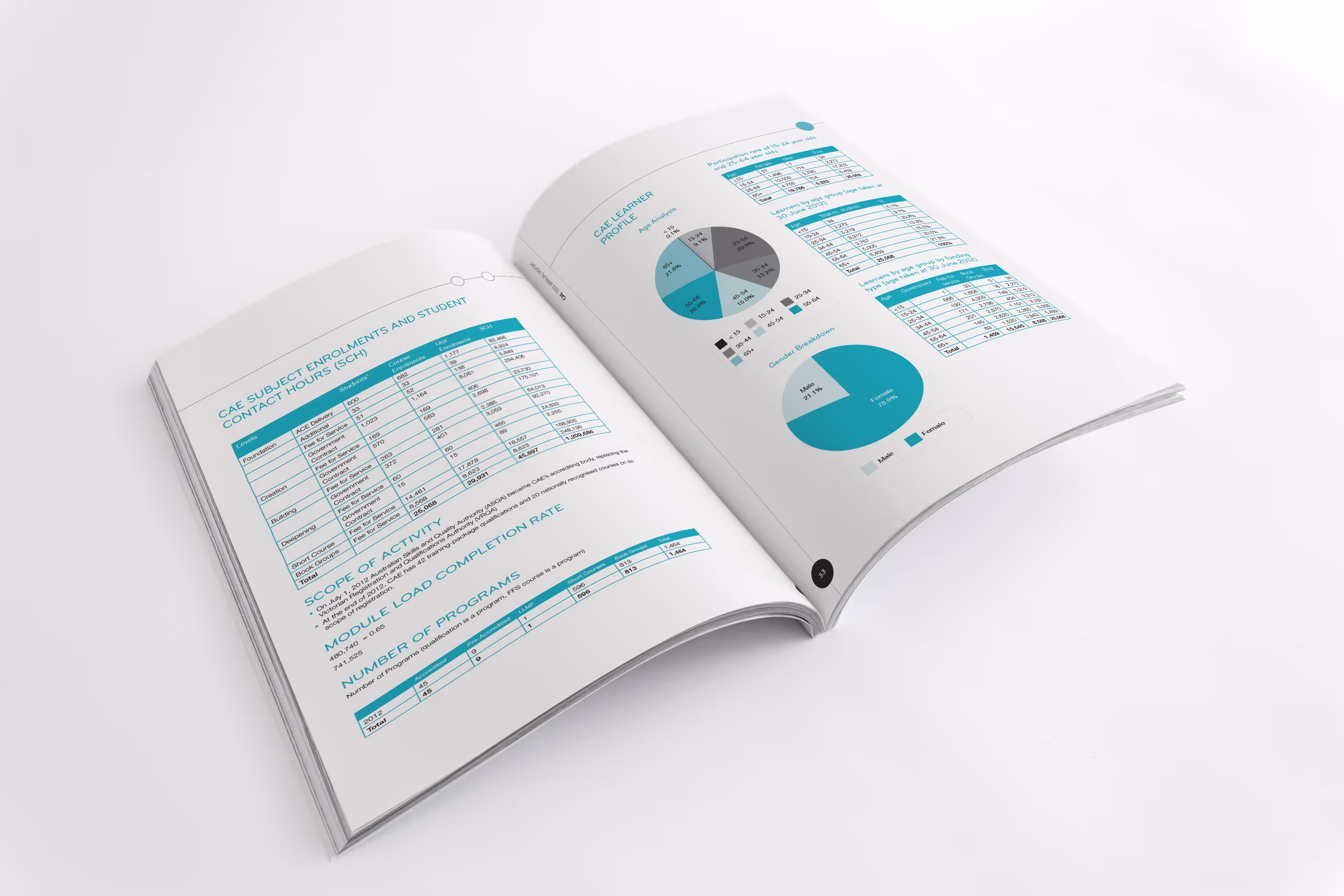 Susie Reid - Annual Report Design for Centre of Adult Education, Melbourne