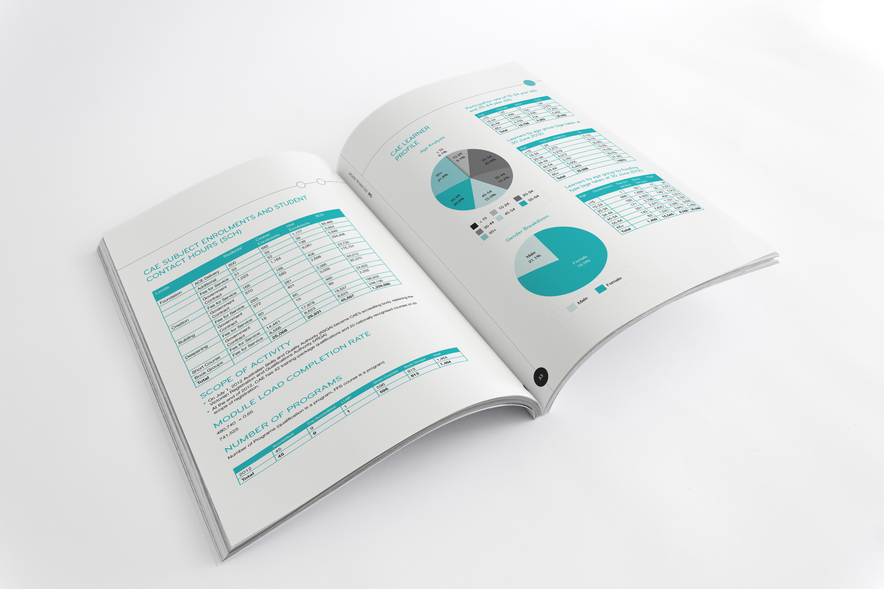Susie Reid - Annual Report Design for Centre of Adult Education, Melbourne
