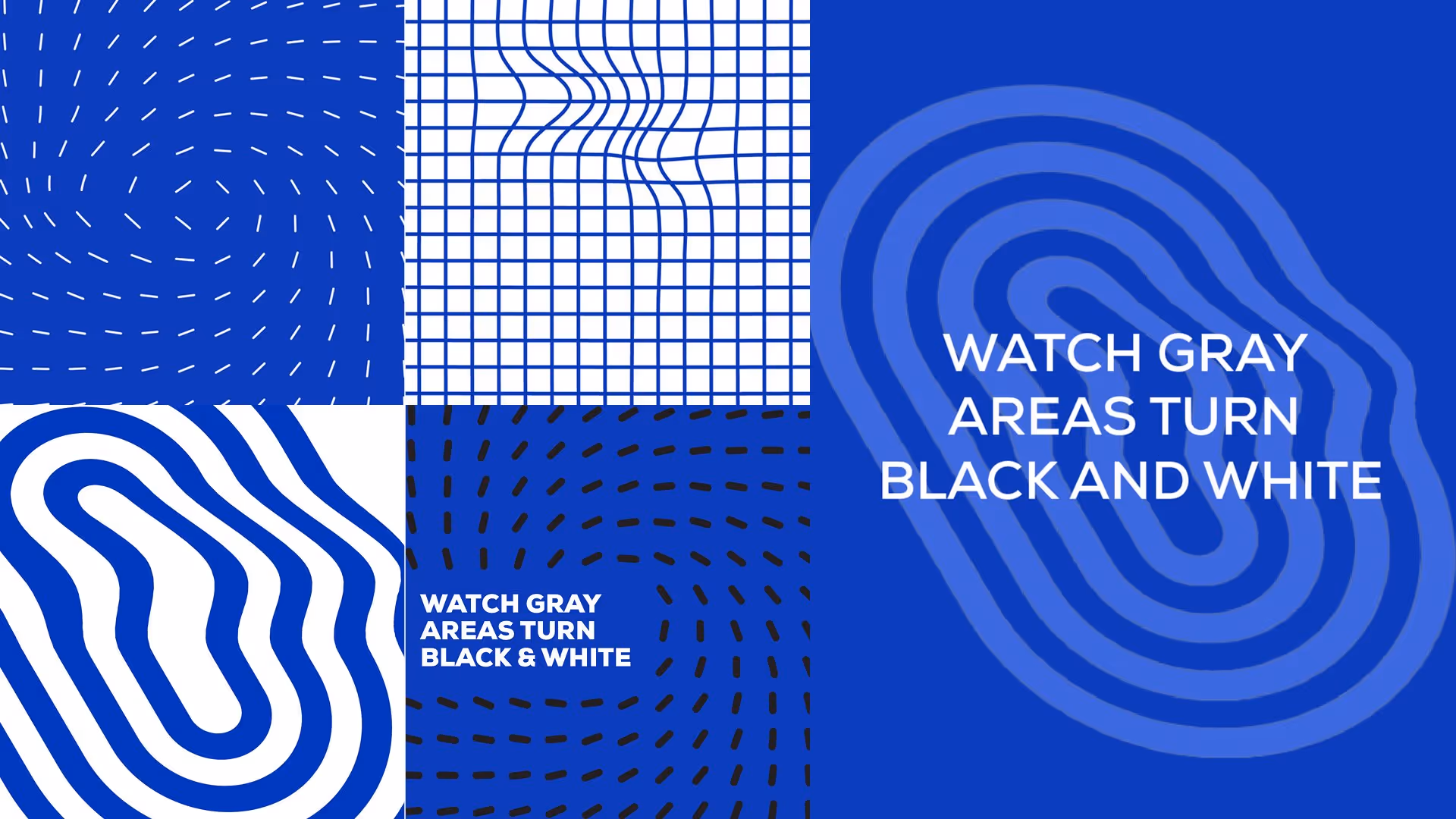 Lucie Blaze - Chartered Accountants - Brand Evolution & Campaign