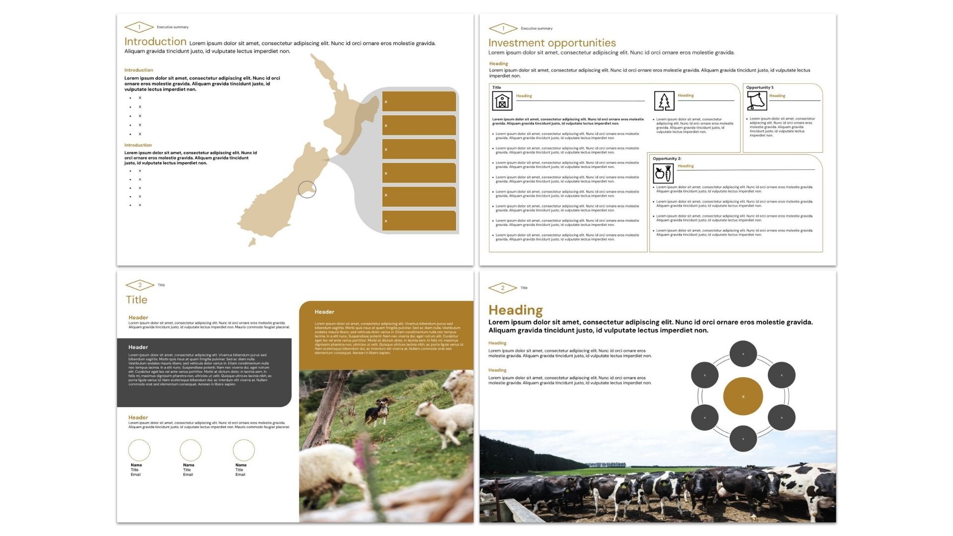 Sophia Spahn - Design Specialist (Leading Global Professional Services Firm, 6+ Years)