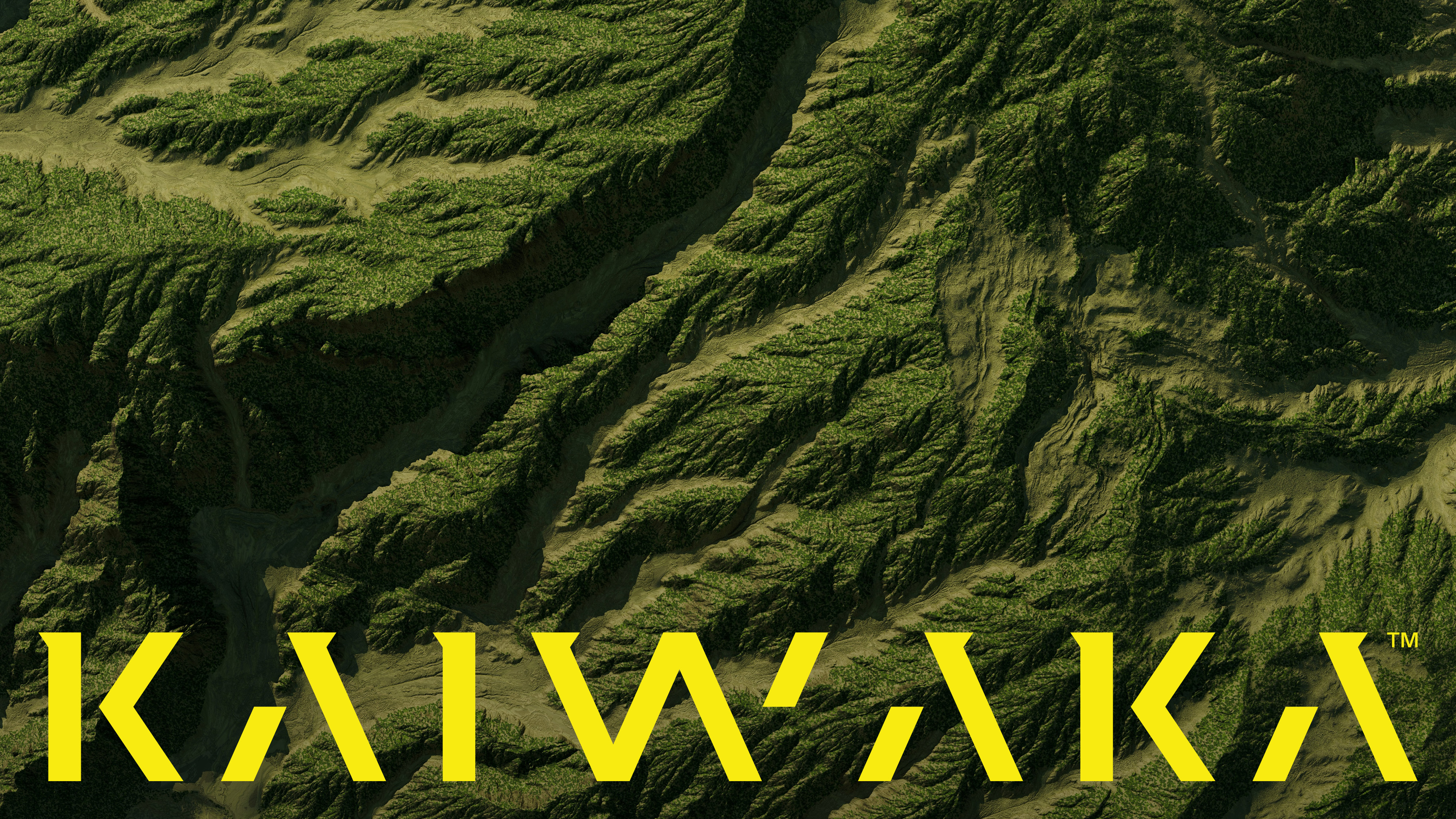 Vijay Patel - Built for the Outdoors, Reimagined for Digital