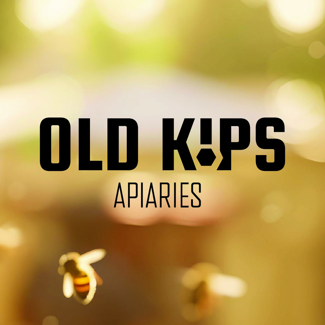 Rebecca Bilbe - Old Kips Apiaries Branding