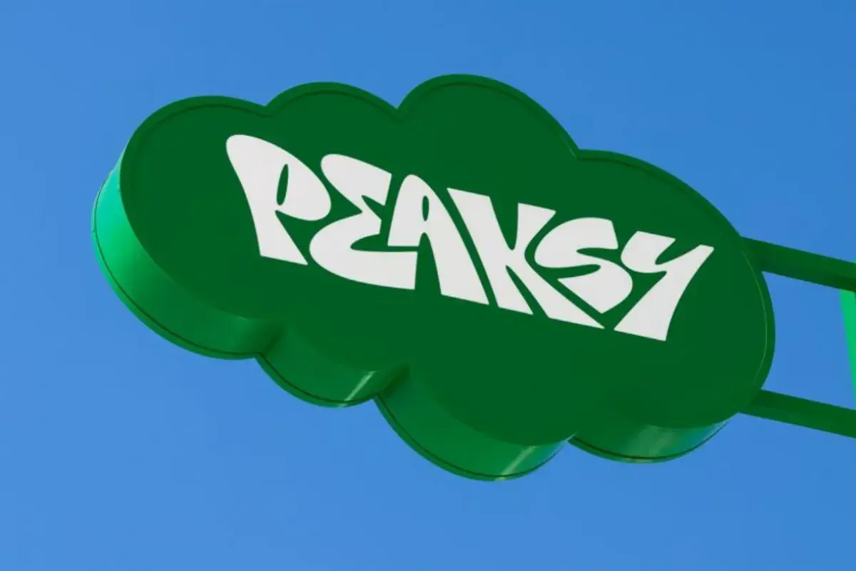 Double-sided blade signage fabricated in custom aluminium construction, precision-finished branding, and securely installed for high-visibility wayfinding at Peaksy Entertainment