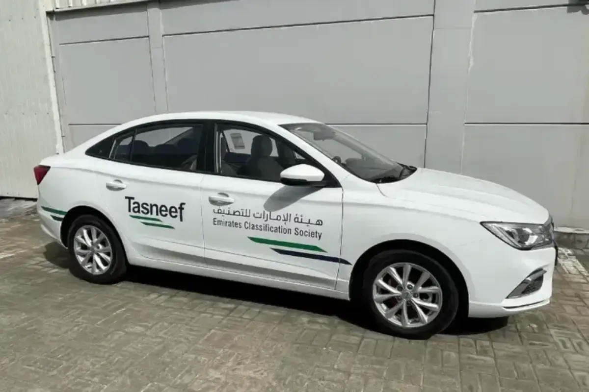 Fleet branding with precision-cut vinyl lettering delivering consistent corporate identity across government authority vehicles.