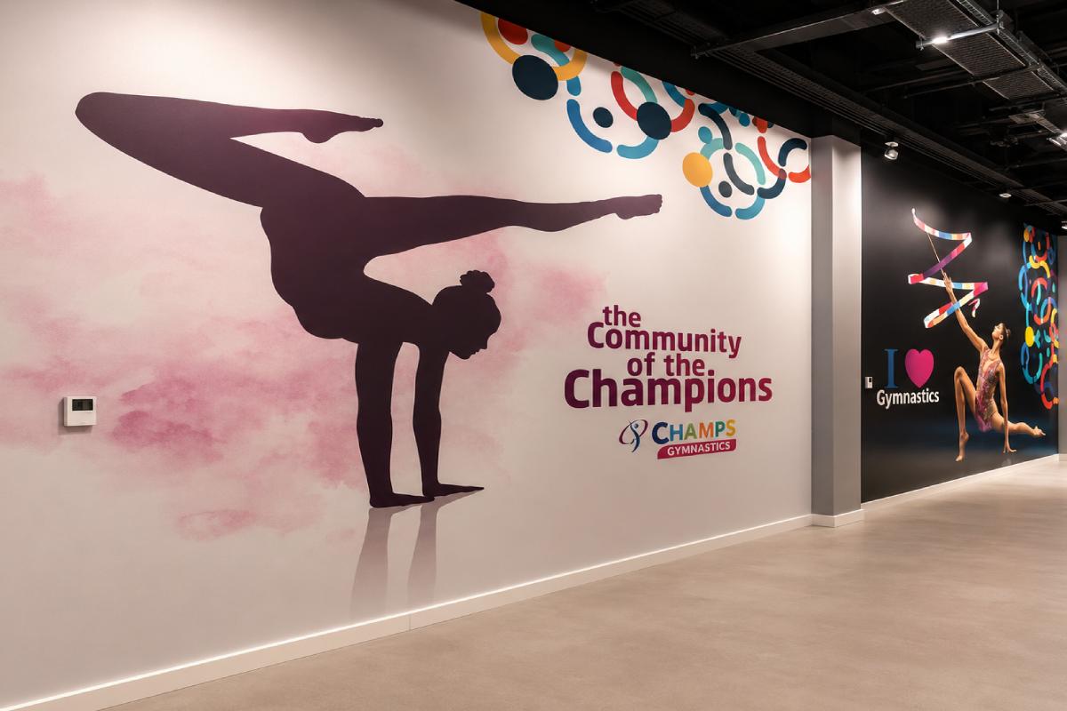 Vinyl Wall Wraps