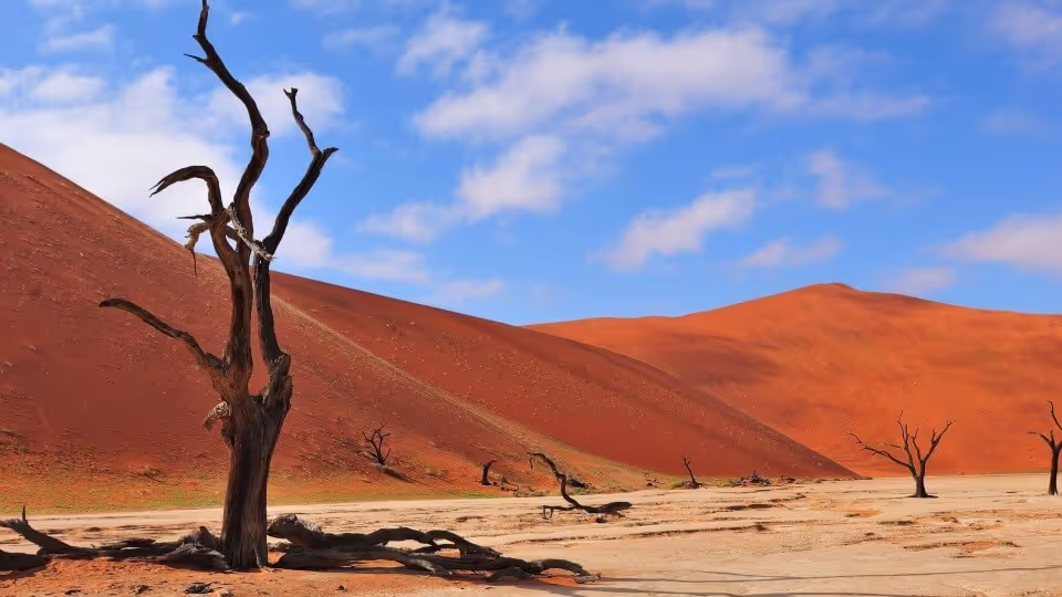 Namibia Rundreise Selbstfahrer - Rote Sanddünen in Sossusvlei