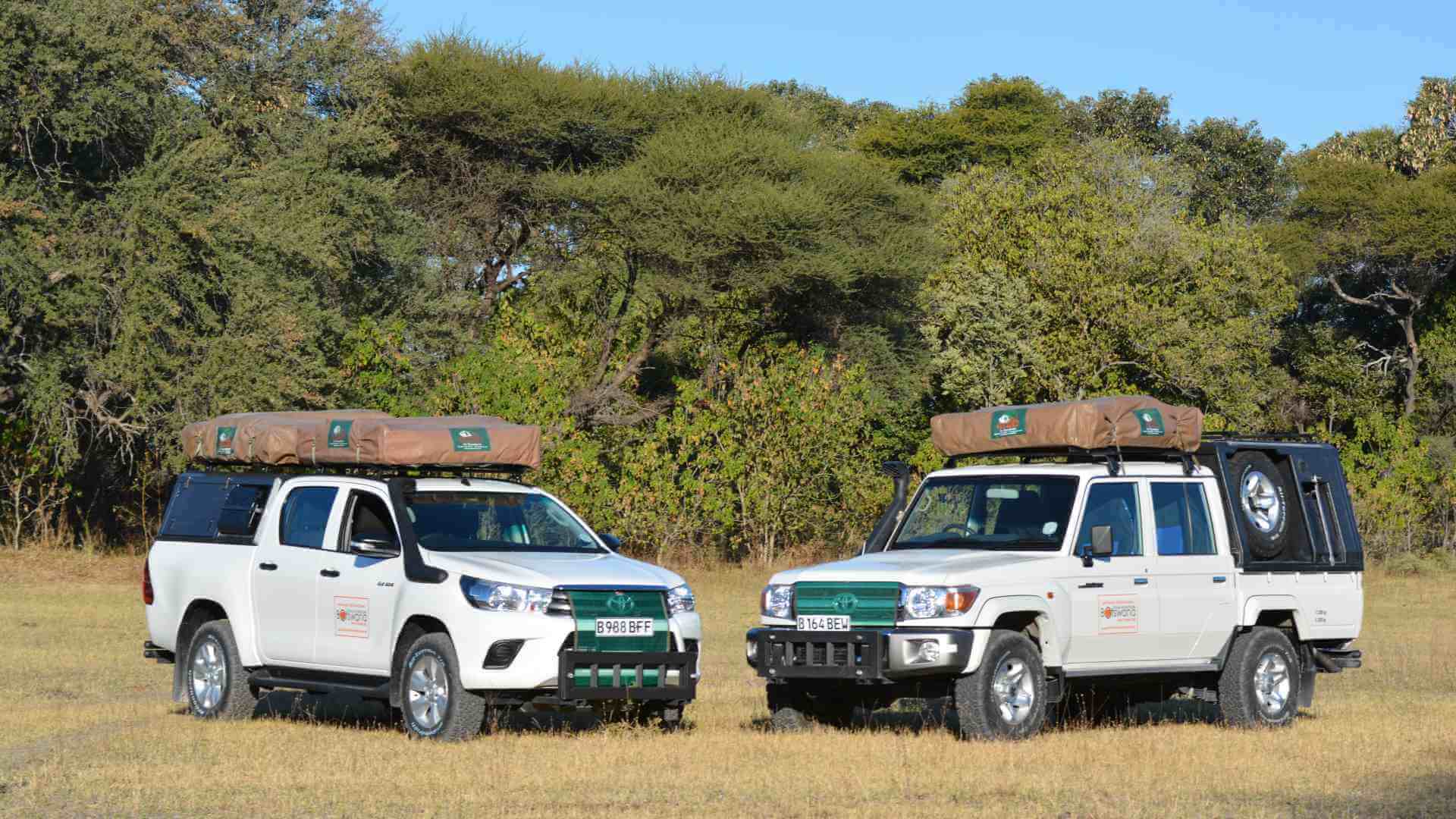 Okavango and Chobe Group Self-Drive Safari