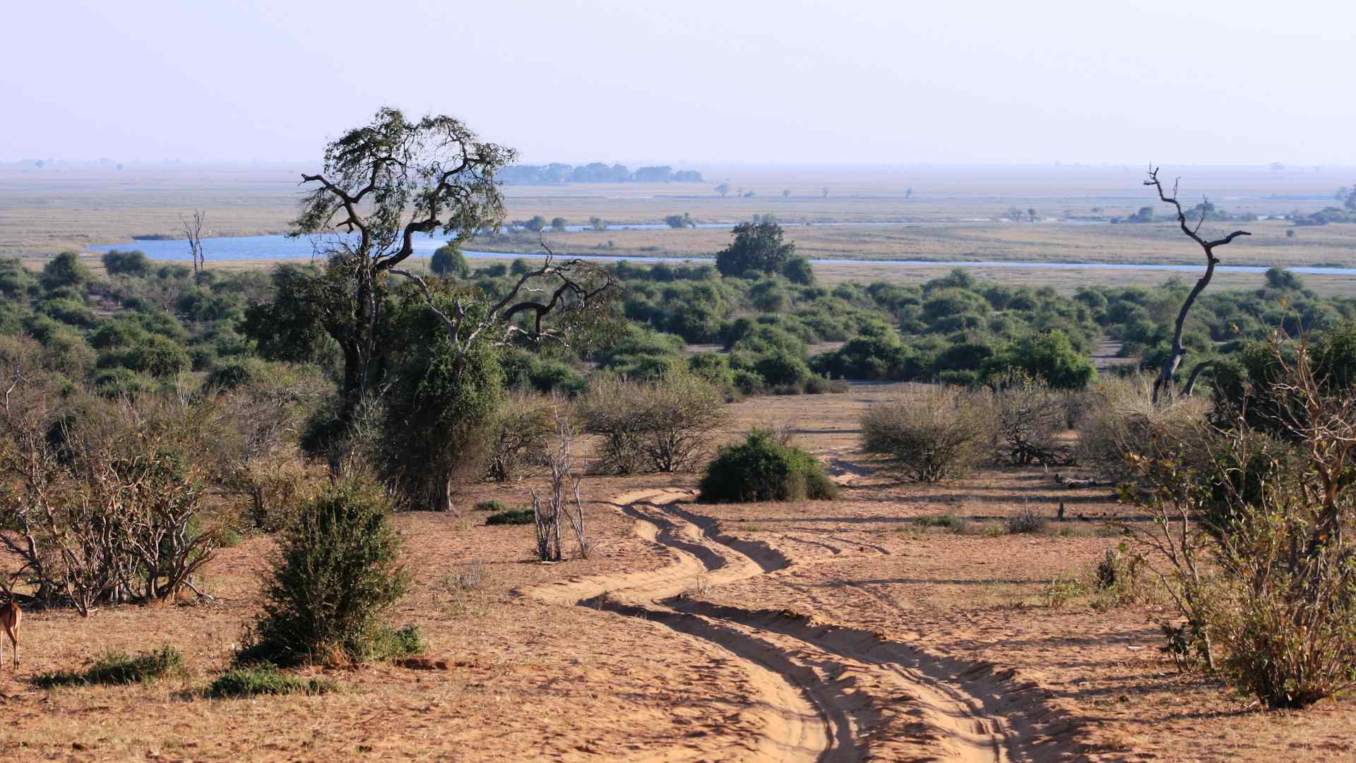 Okavango Delta, Chobe and Victoria Falls Small-Group Tour