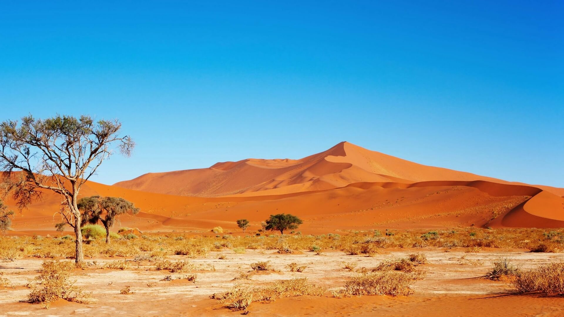 Südafrika Safari Landschaft
