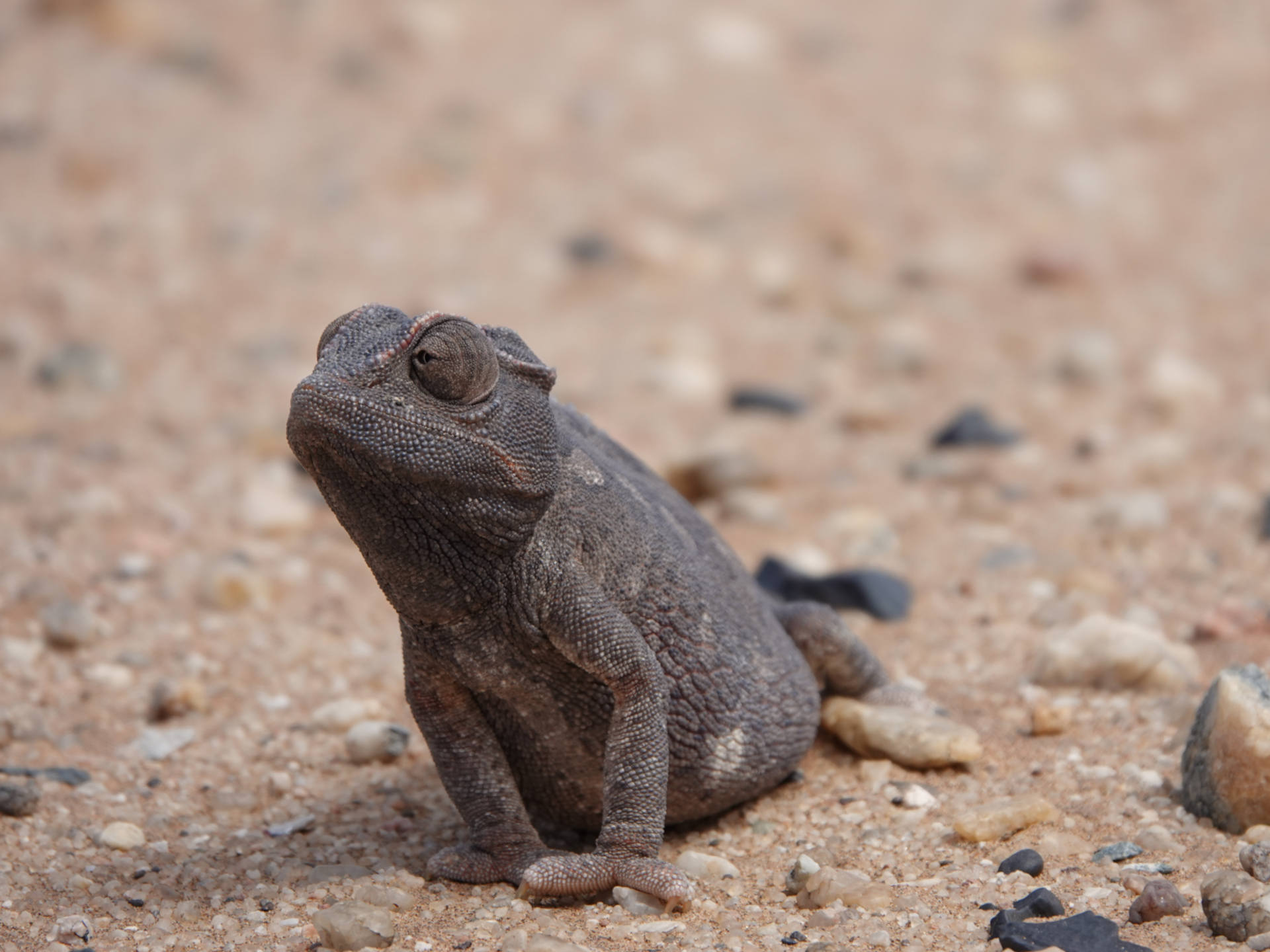 Namibia - Three weeks of pure space