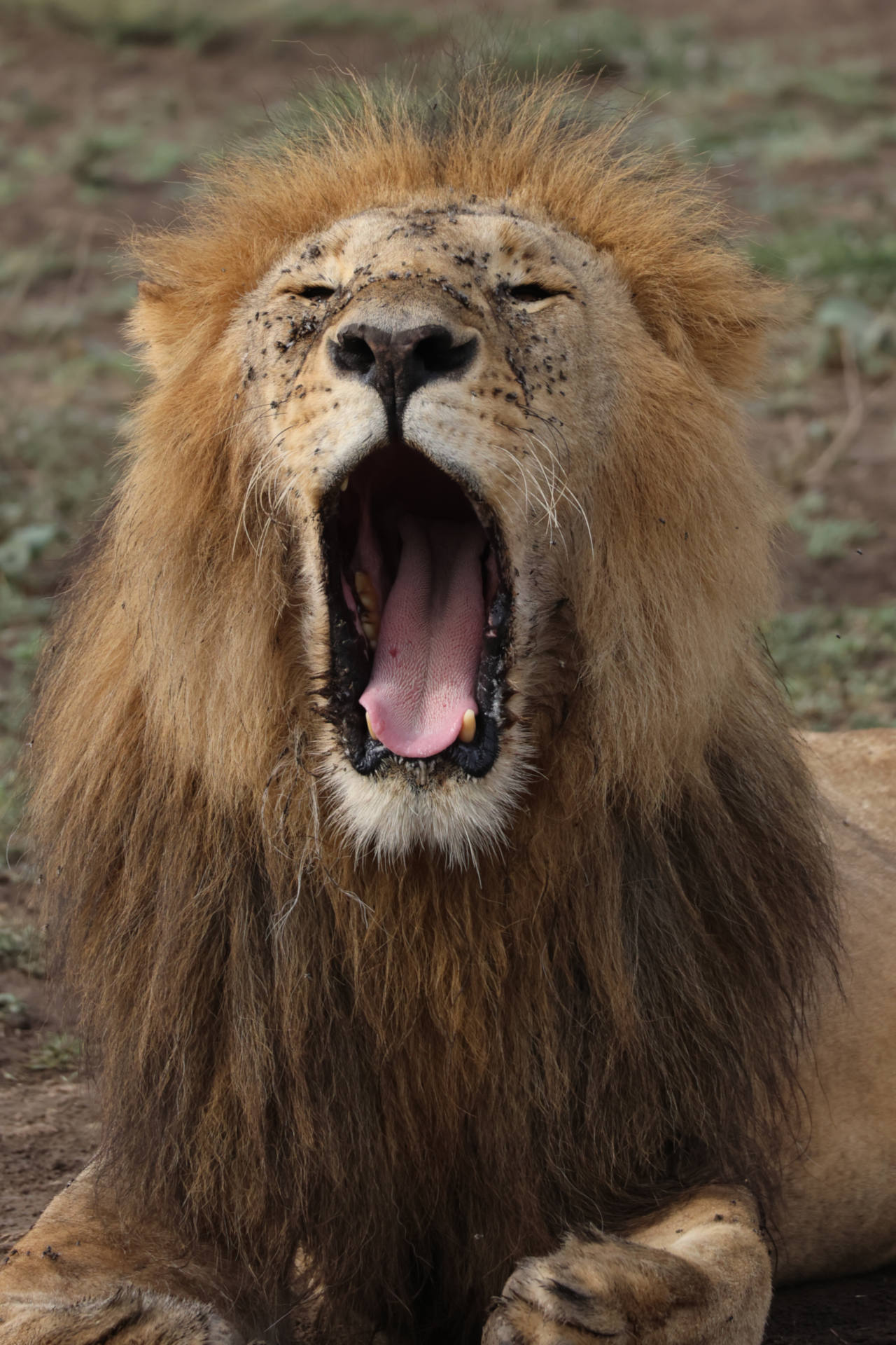 Madeleine & Steven pic #2