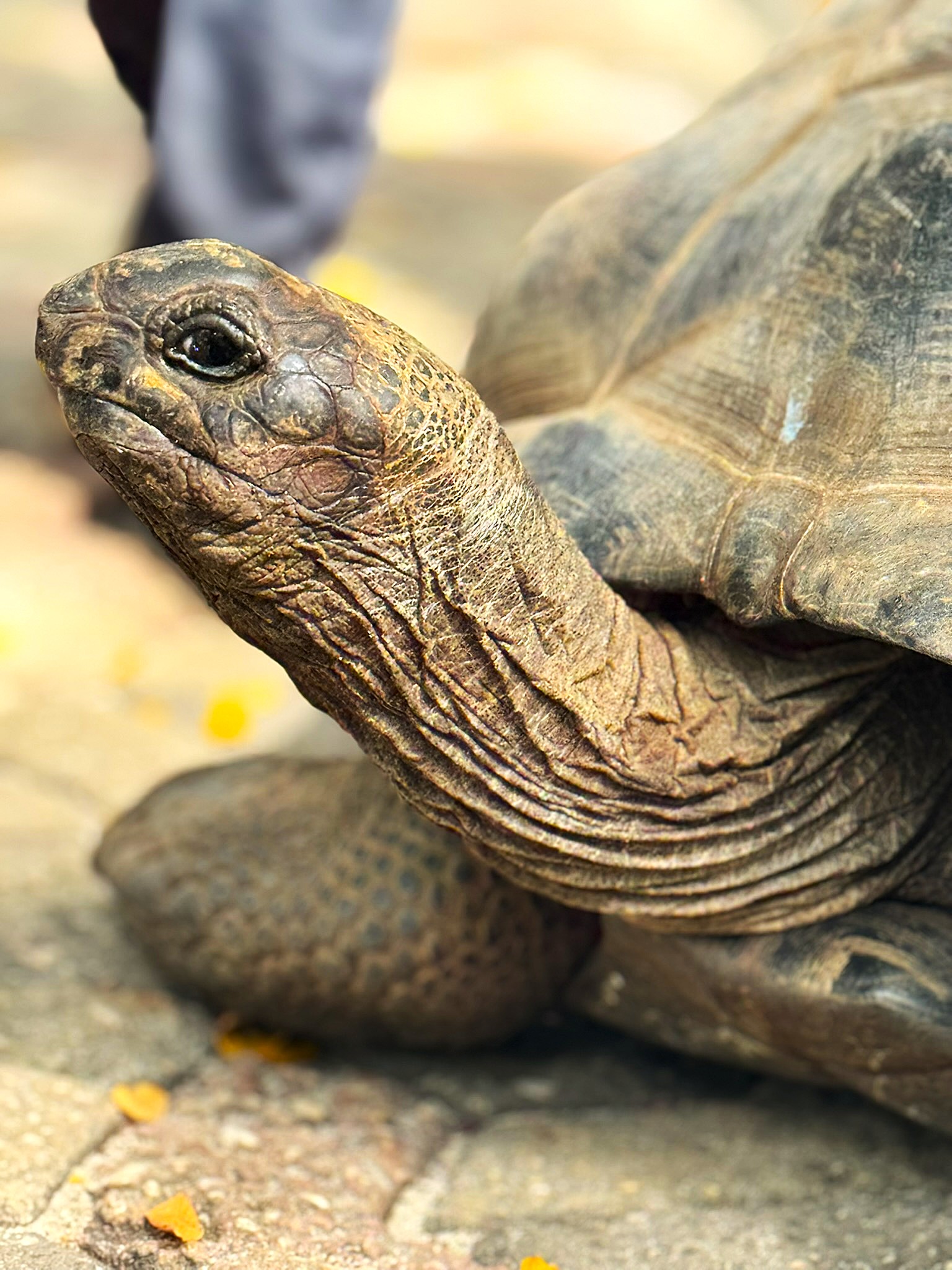 Madeleine & Steven pic #3