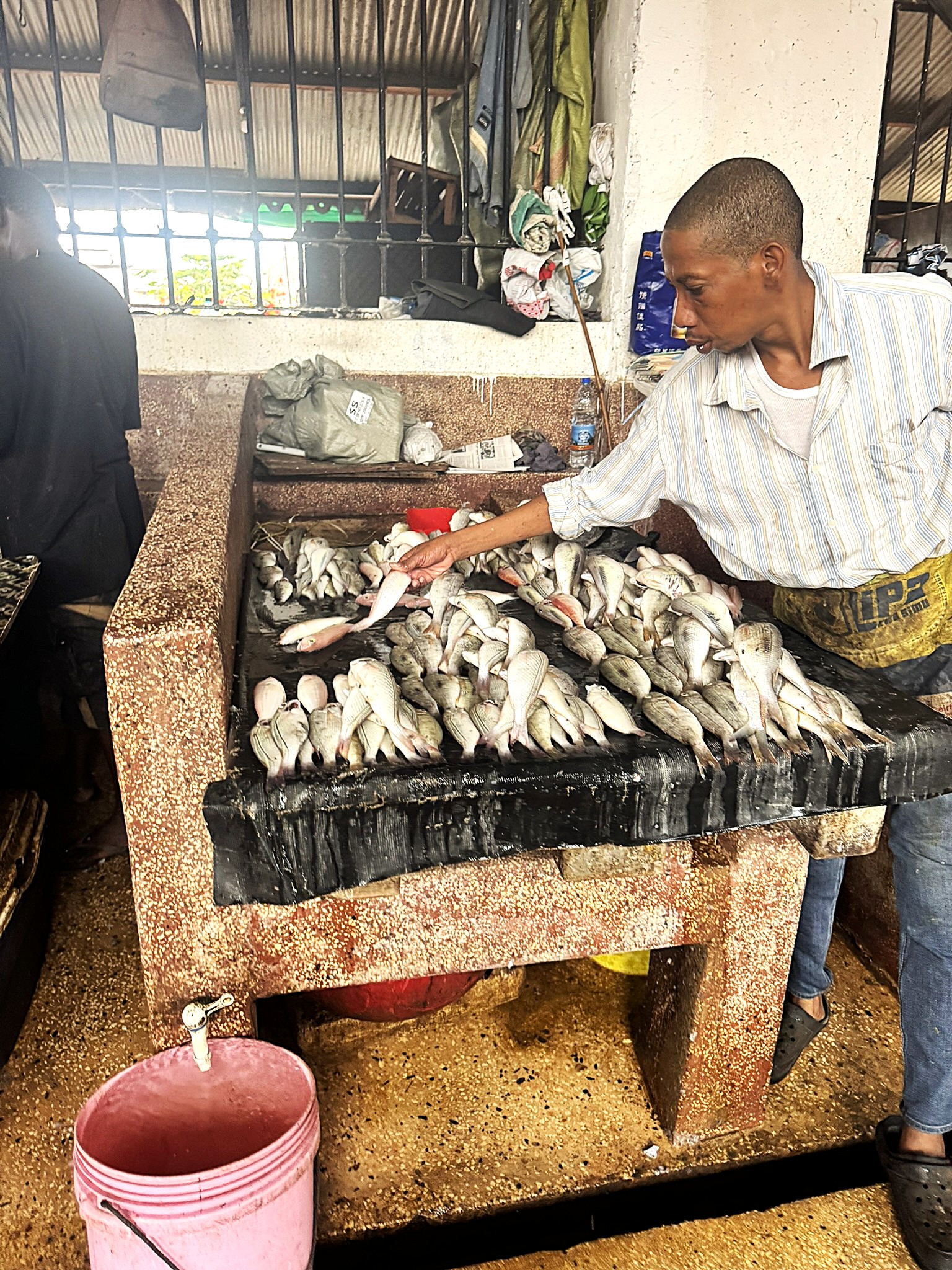 Madeleine & Steven pic #4