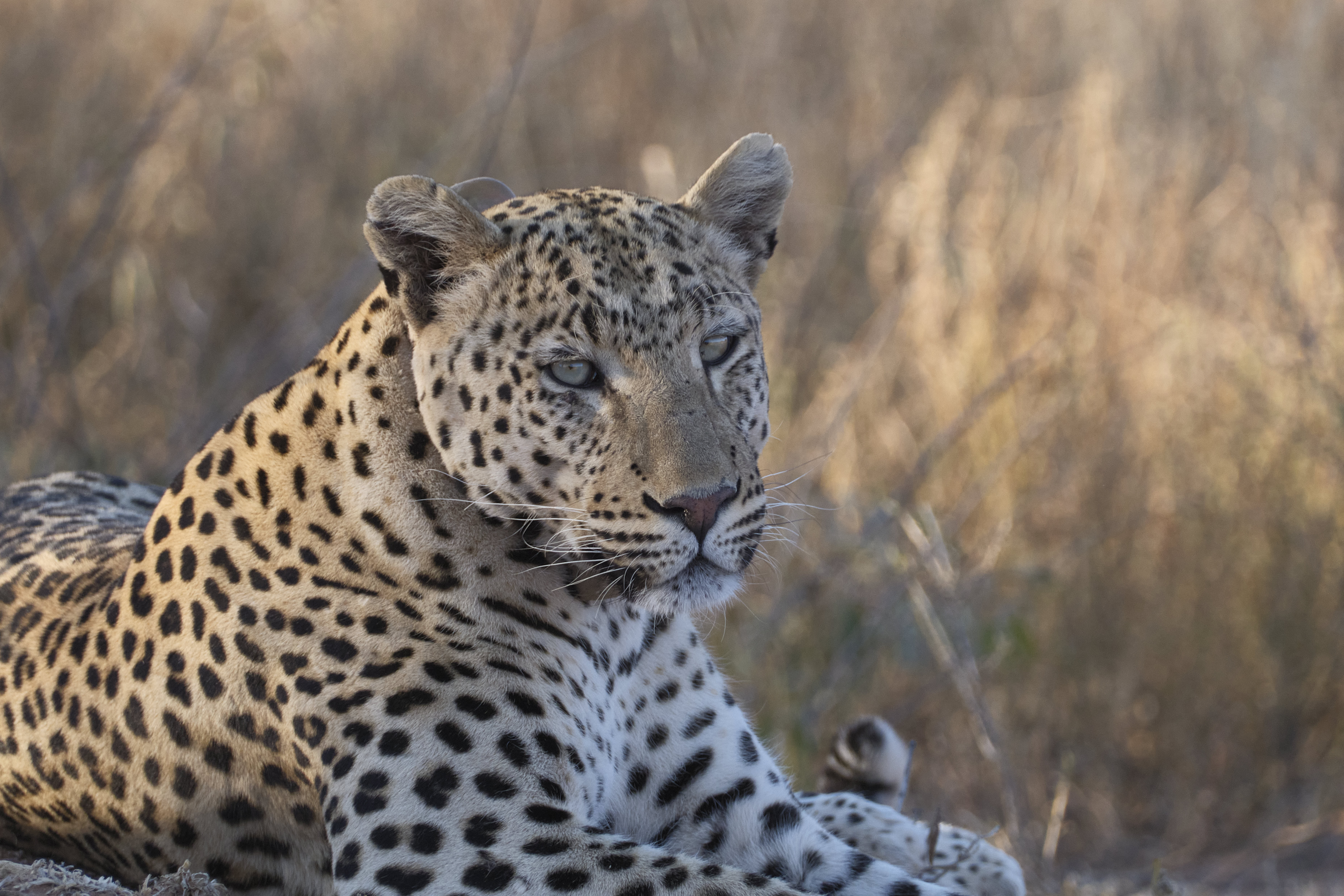 Namibia mit Zelt und Lodge