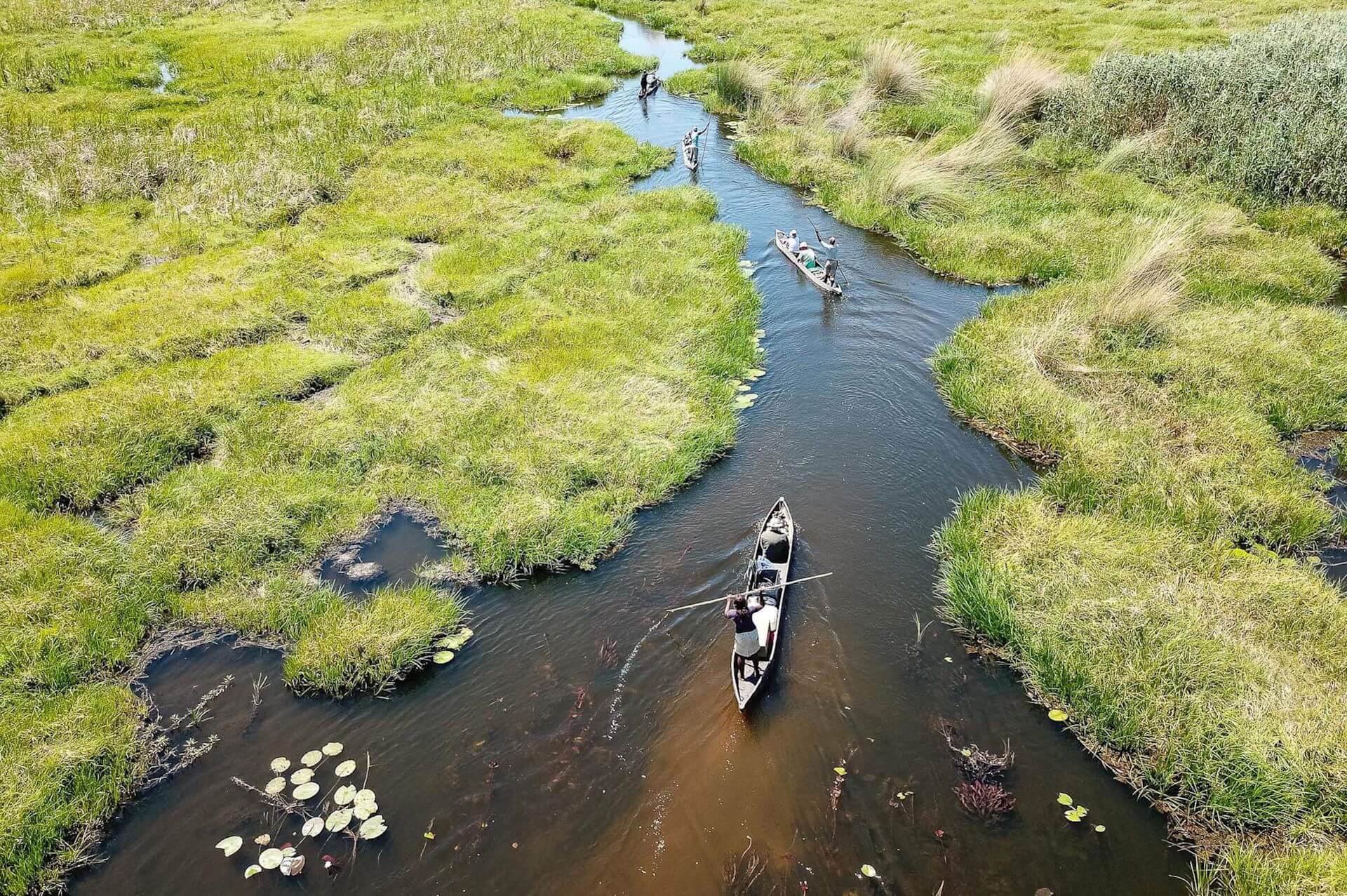 Okavango Delta