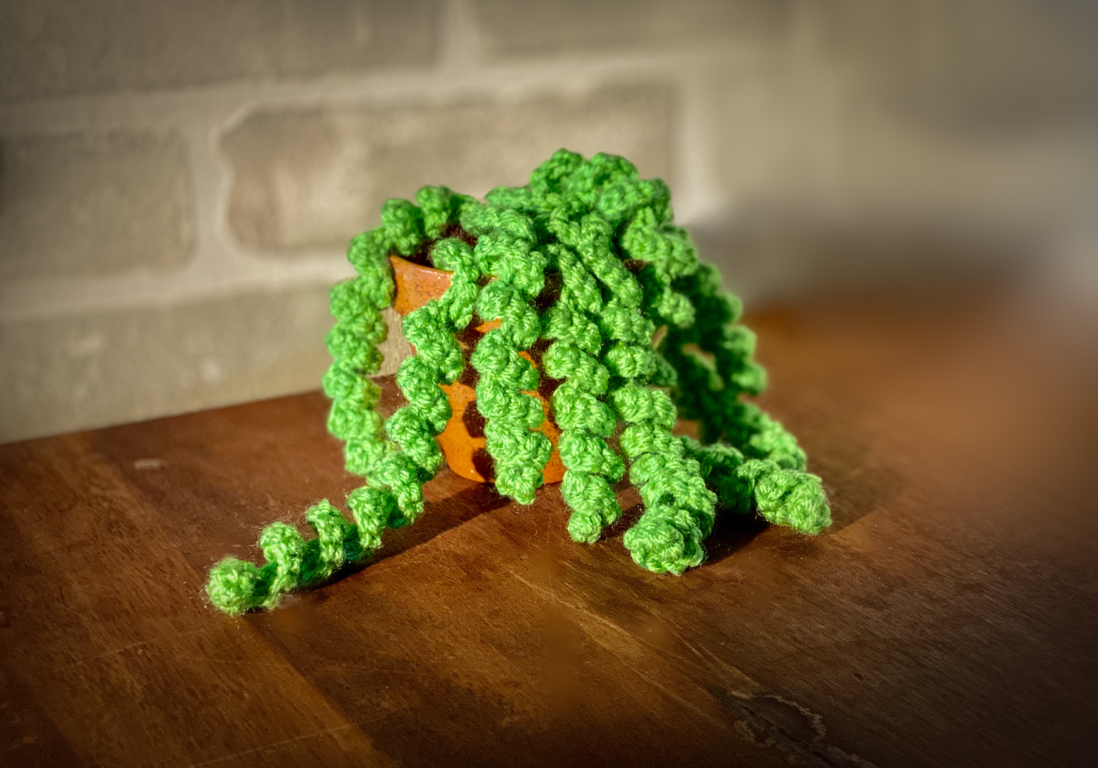THNLife - Dangling Curly Plant Crochet Pattern by Anna Sands | Anna Sands