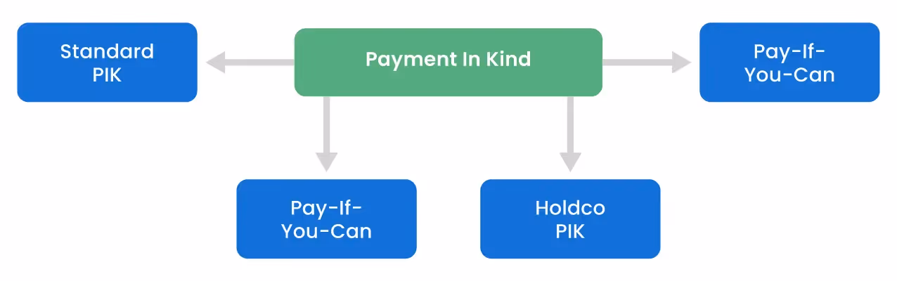 Types of Payment in Kind 
