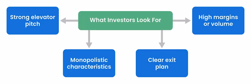 Types of Companies Investors Look For