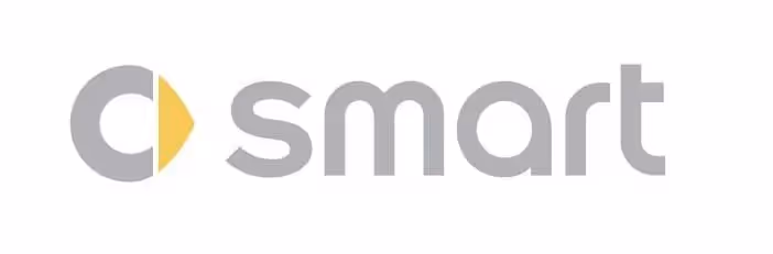 smart automobile maker joint venture example