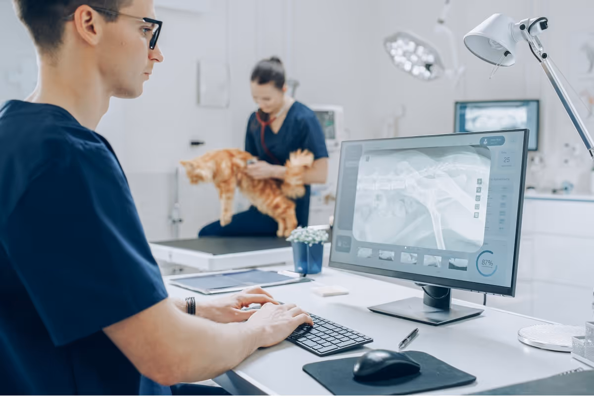 Veterinarian using digital X-ray system while another examines a cat, highlighting operational integration in veterinary clinic roll-up strategy