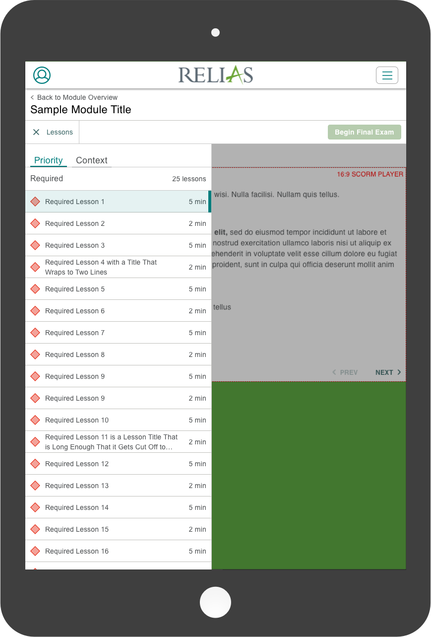 tablet lesson viewer