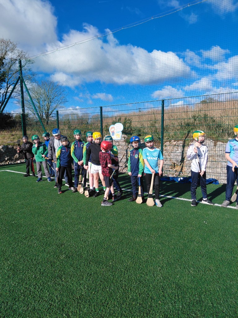 Hurling and Camogie training
