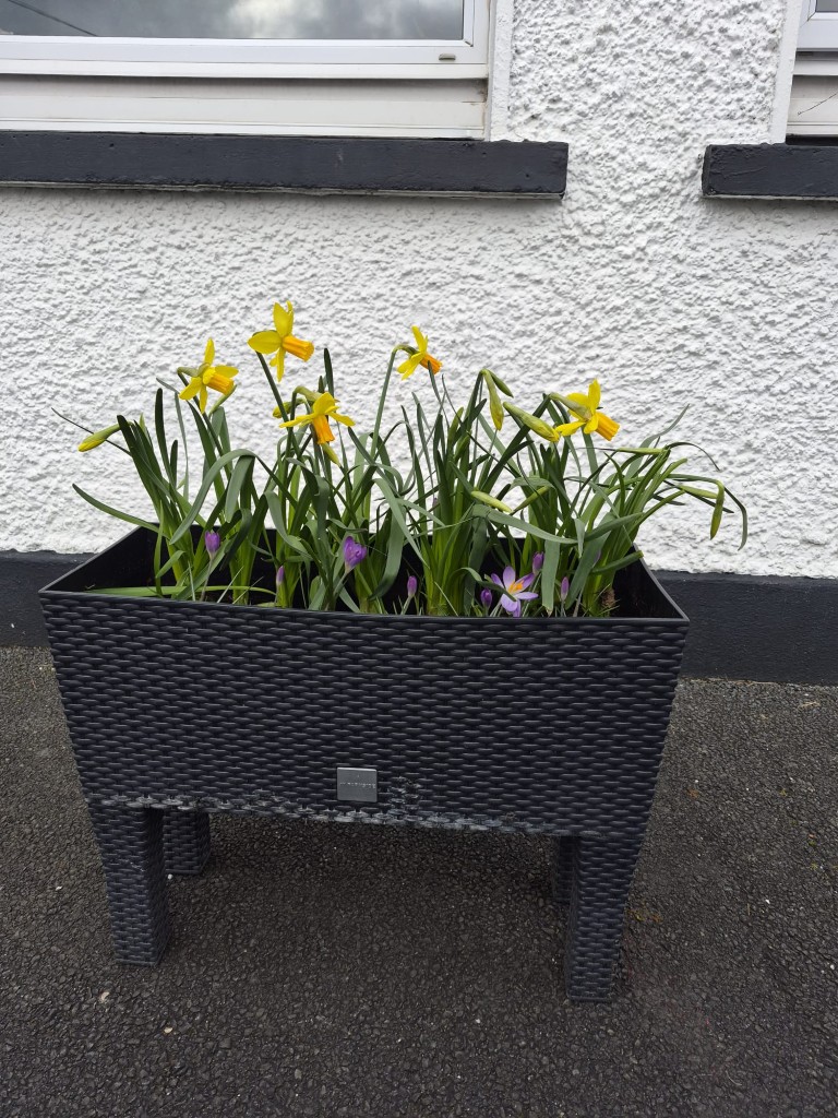 Spring has arrived!