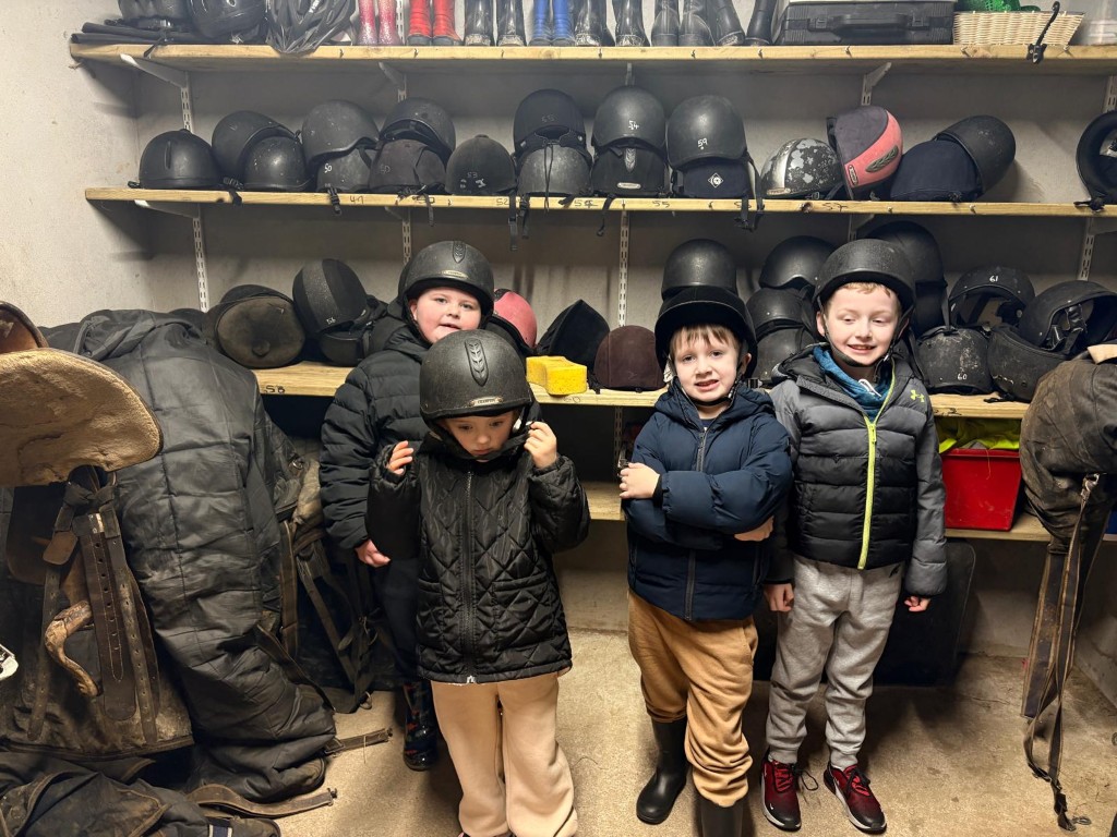 Liskennett Equine Centre visit