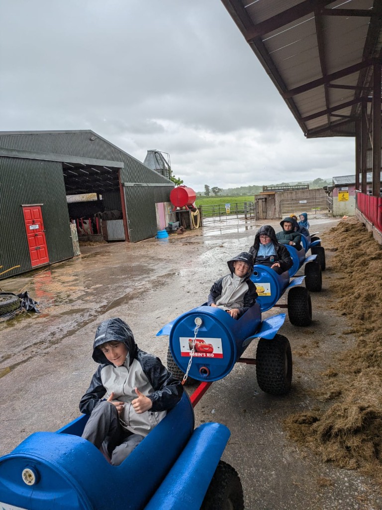 Kilmeedy Farm visit