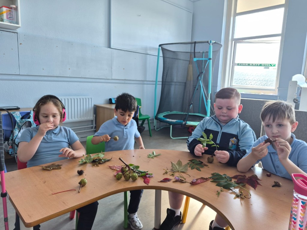 Ms. Hayes' class learn about Autumn
