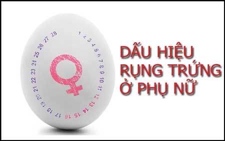 12 dấu hiệu rụng trứng rõ nhất ở nữ giới