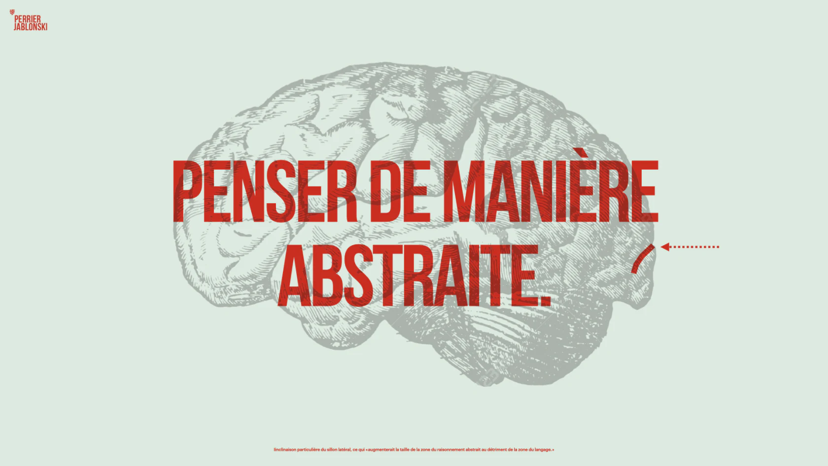 Visuel du cerveau illustrant la pensée abstraite.