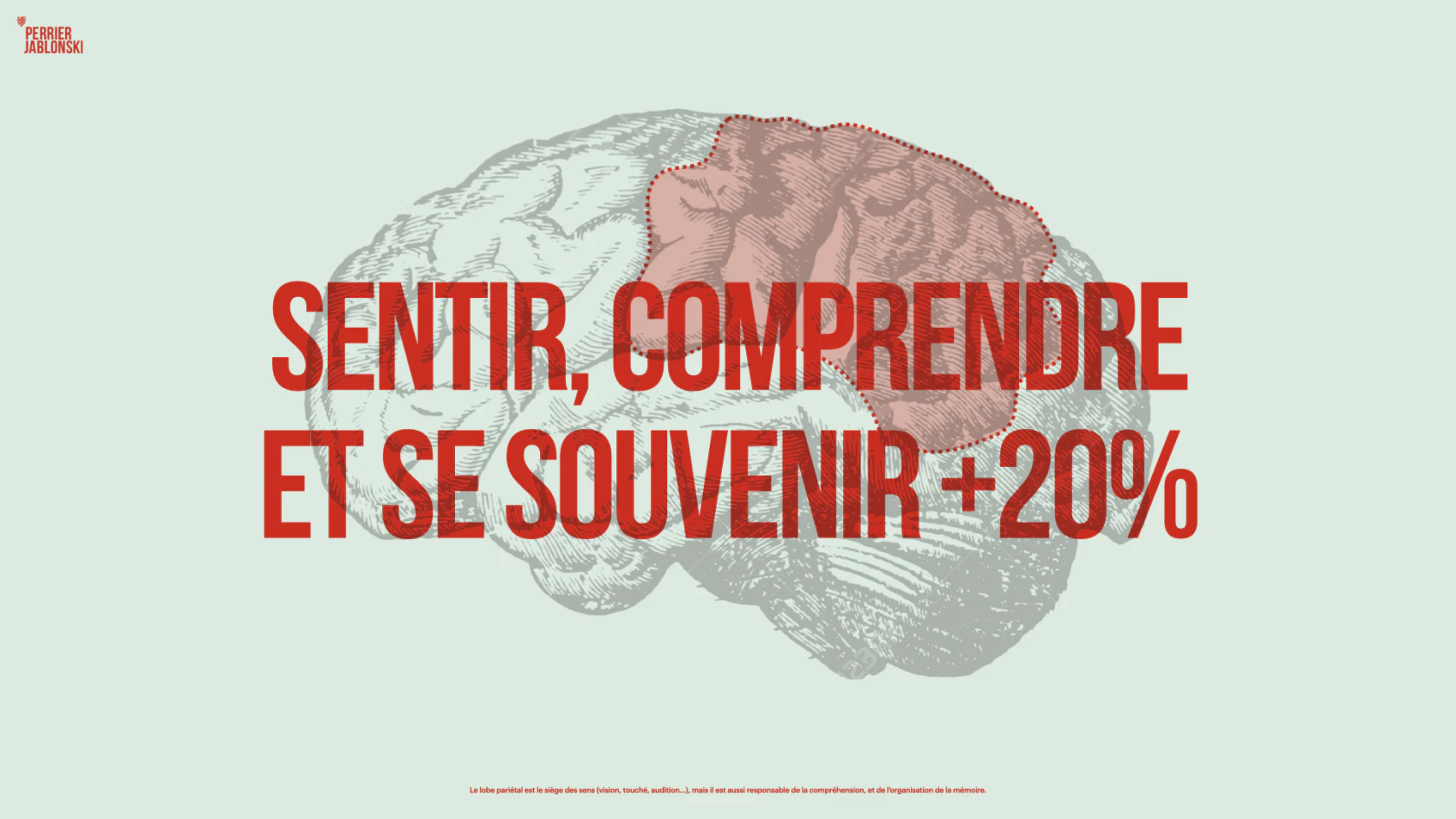 Visuel associant une zone du cerveau à la perception, à la compréhension et à la mémoire, avec une mention de 20 %.