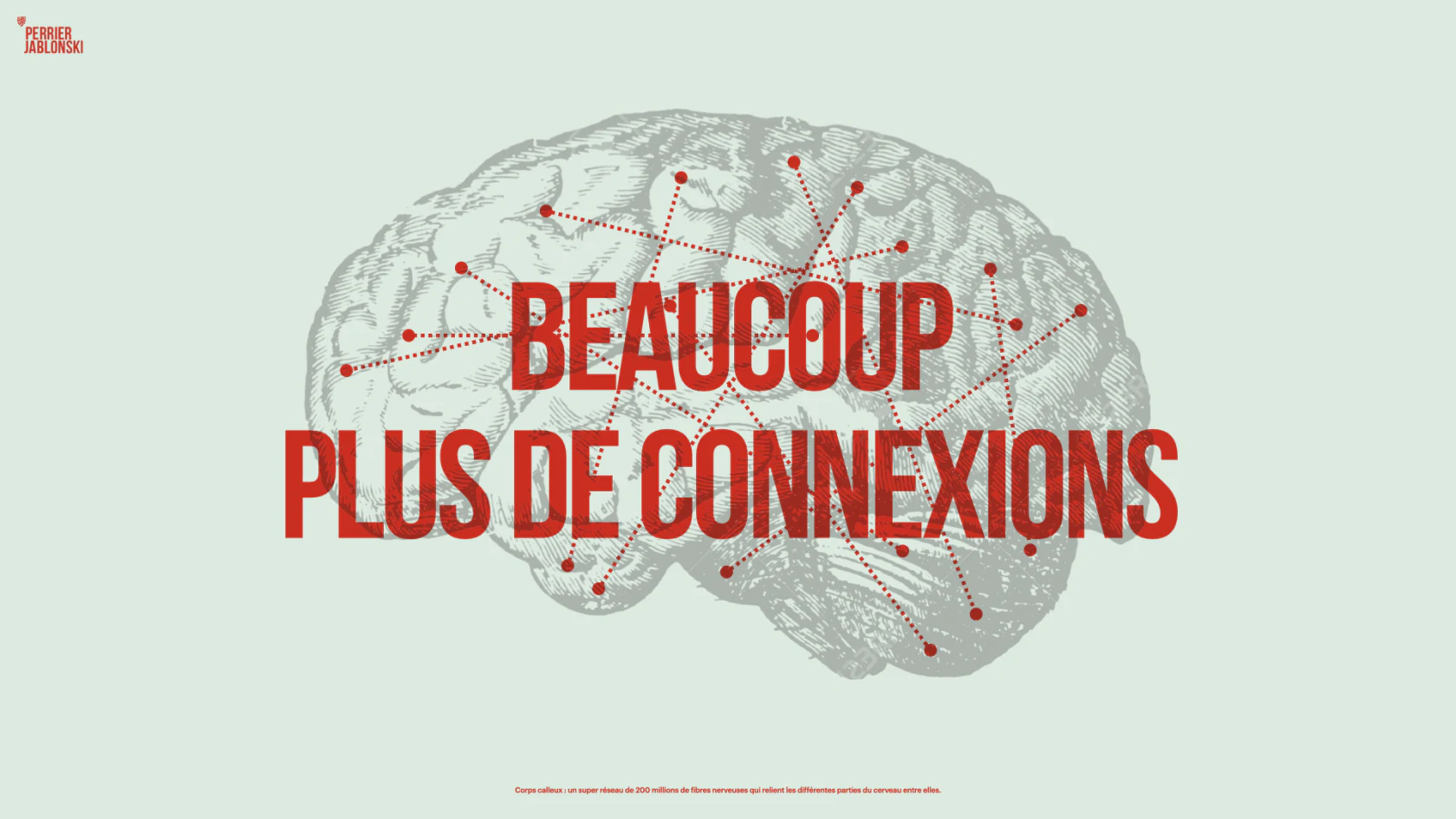 Visuel attribuant davantage de connexions au cerveau d’Einstein.