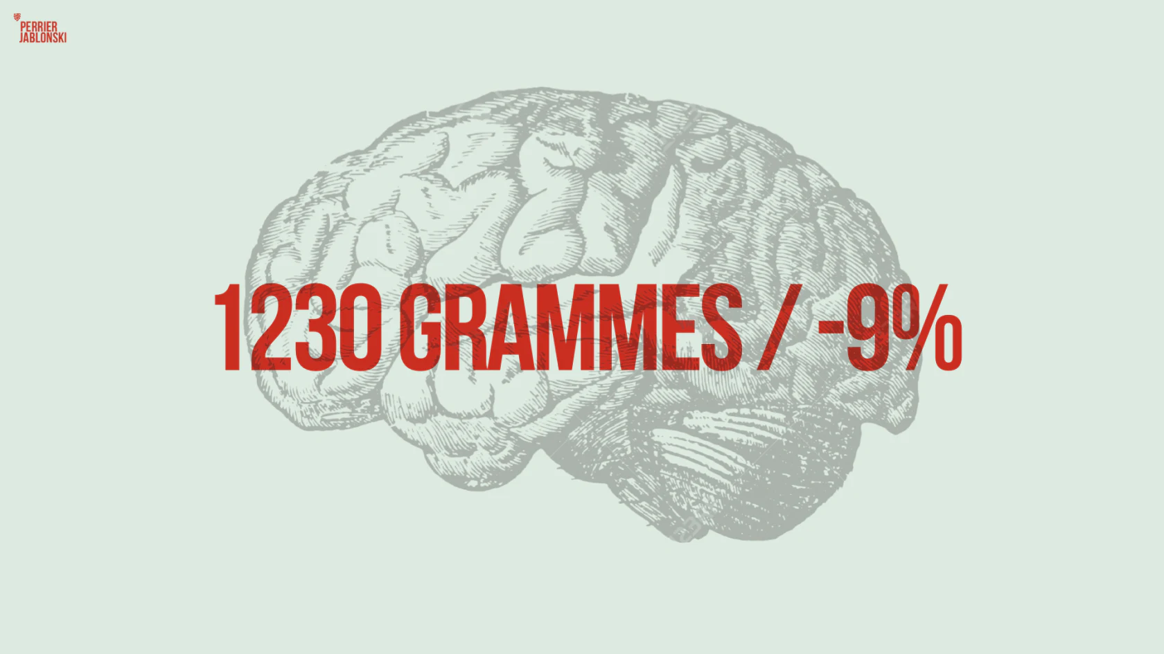 Visuel du cerveau d’Einstein indiquant un poids de 1 230 grammes, présenté comme inférieur de 9 %.