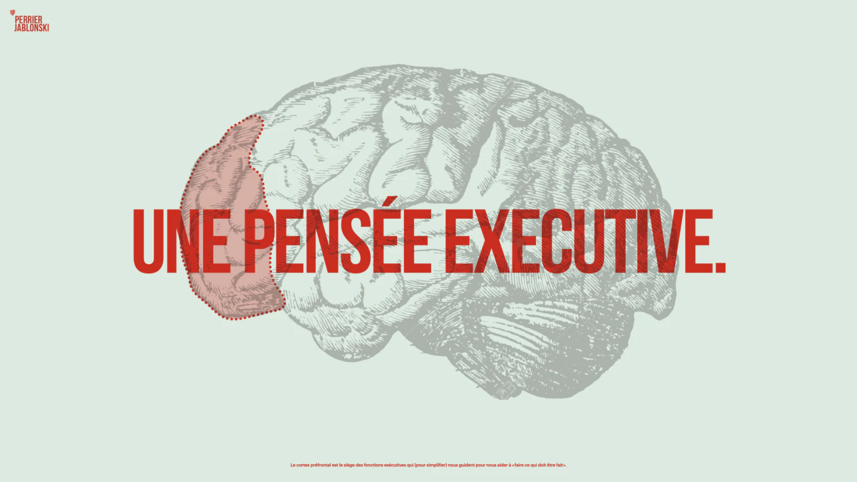Visuel du cerveau illustrant la pensée exécutive.
