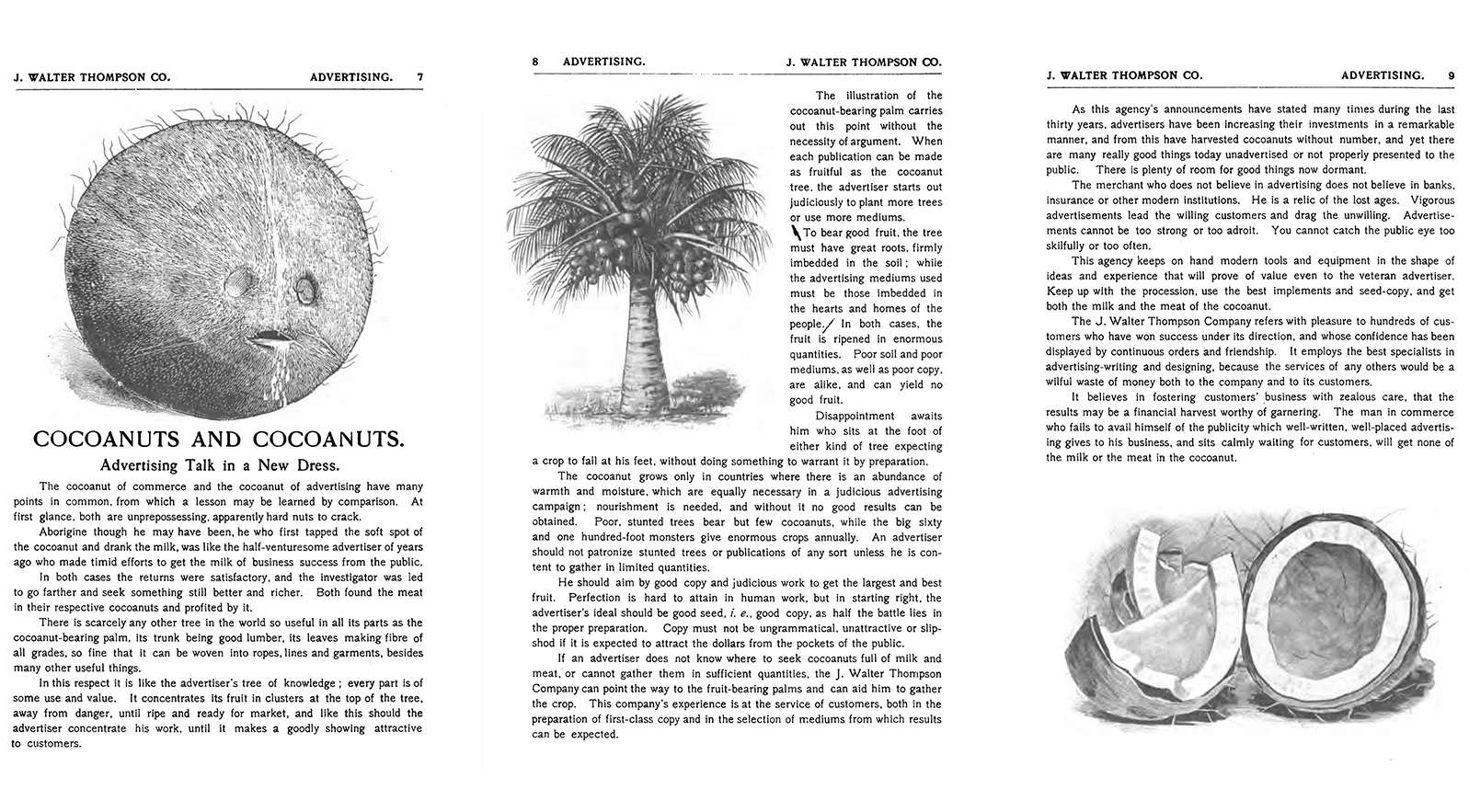 Ancienne publicité détaillée sur la noix de coco, accompagnée d’illustrations.