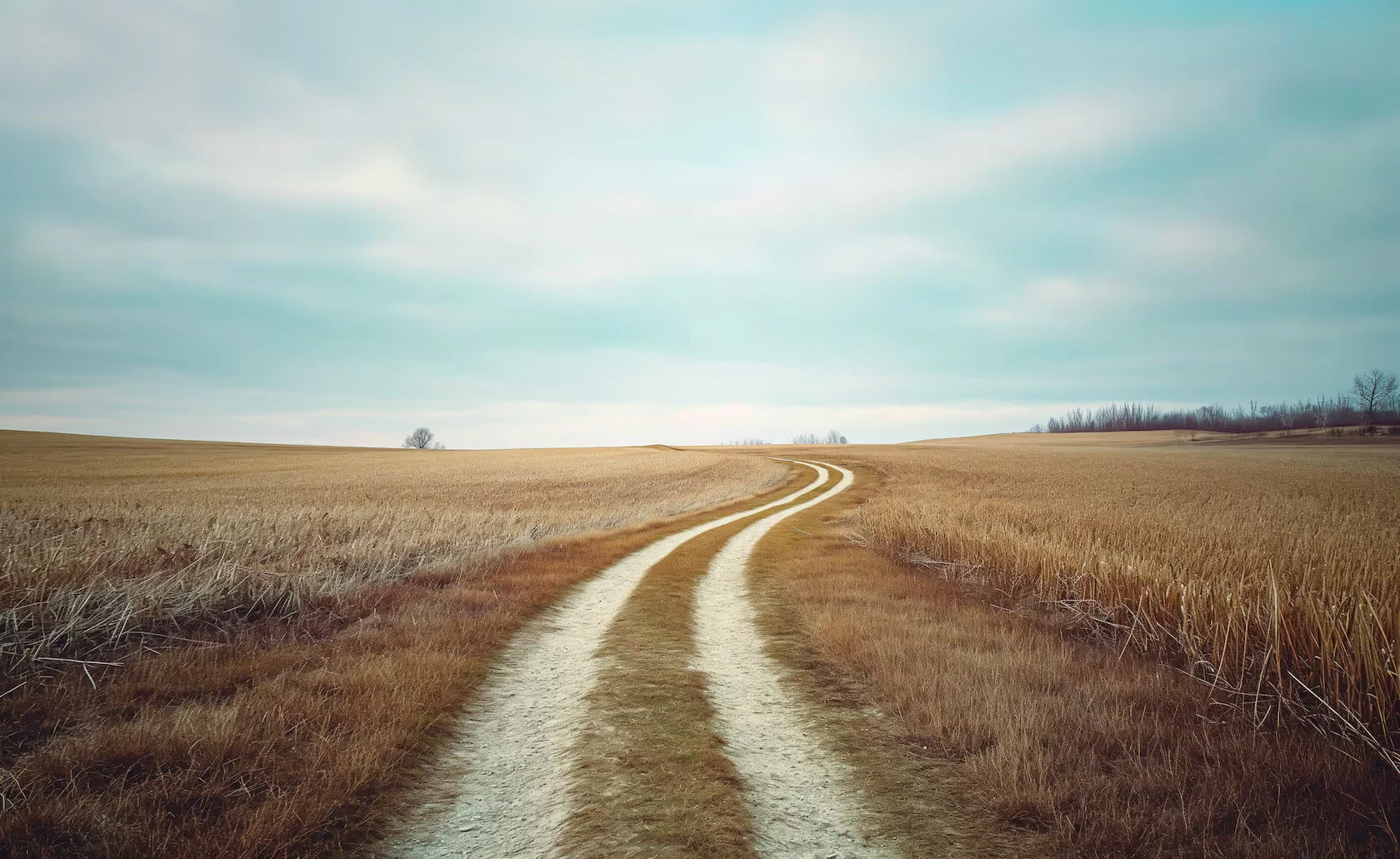 Chemin de terre traversant un vaste champ.