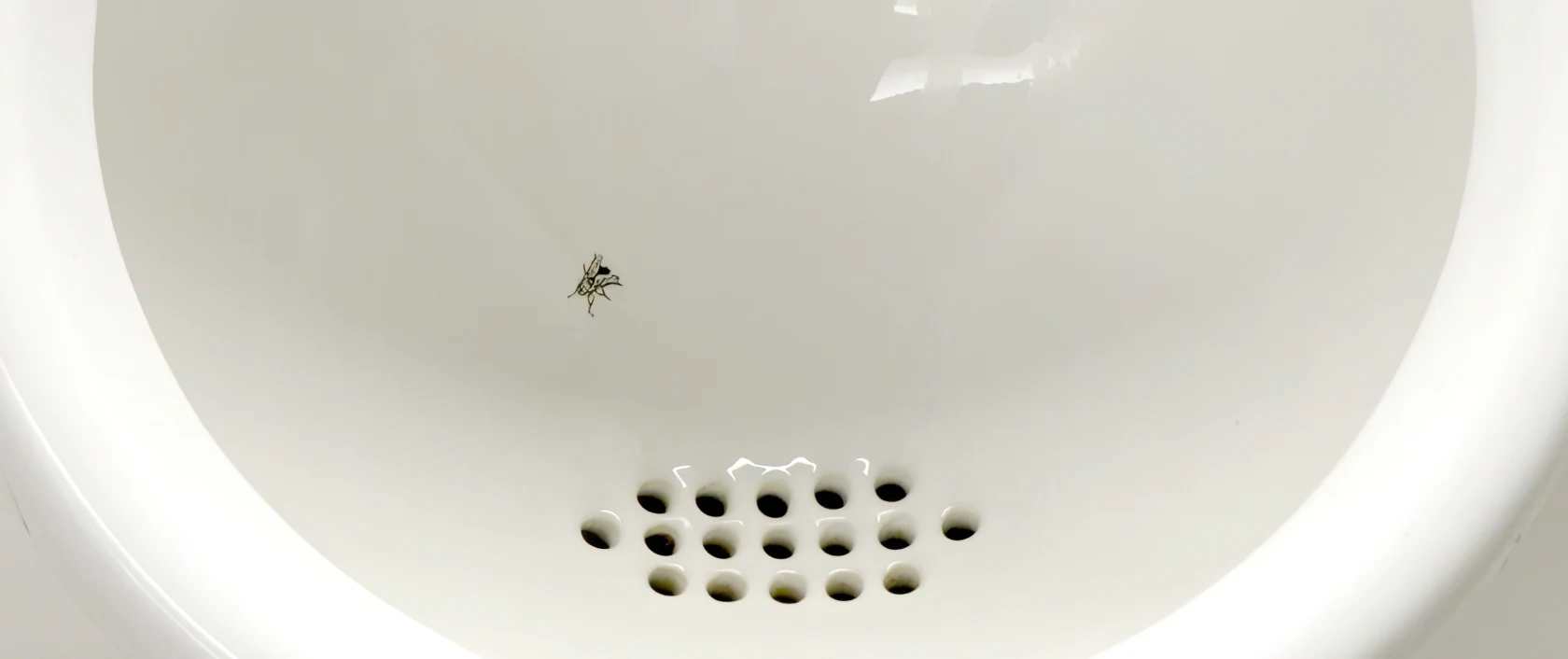 Mouche dessinée dans un urinoir pour guider la visée.