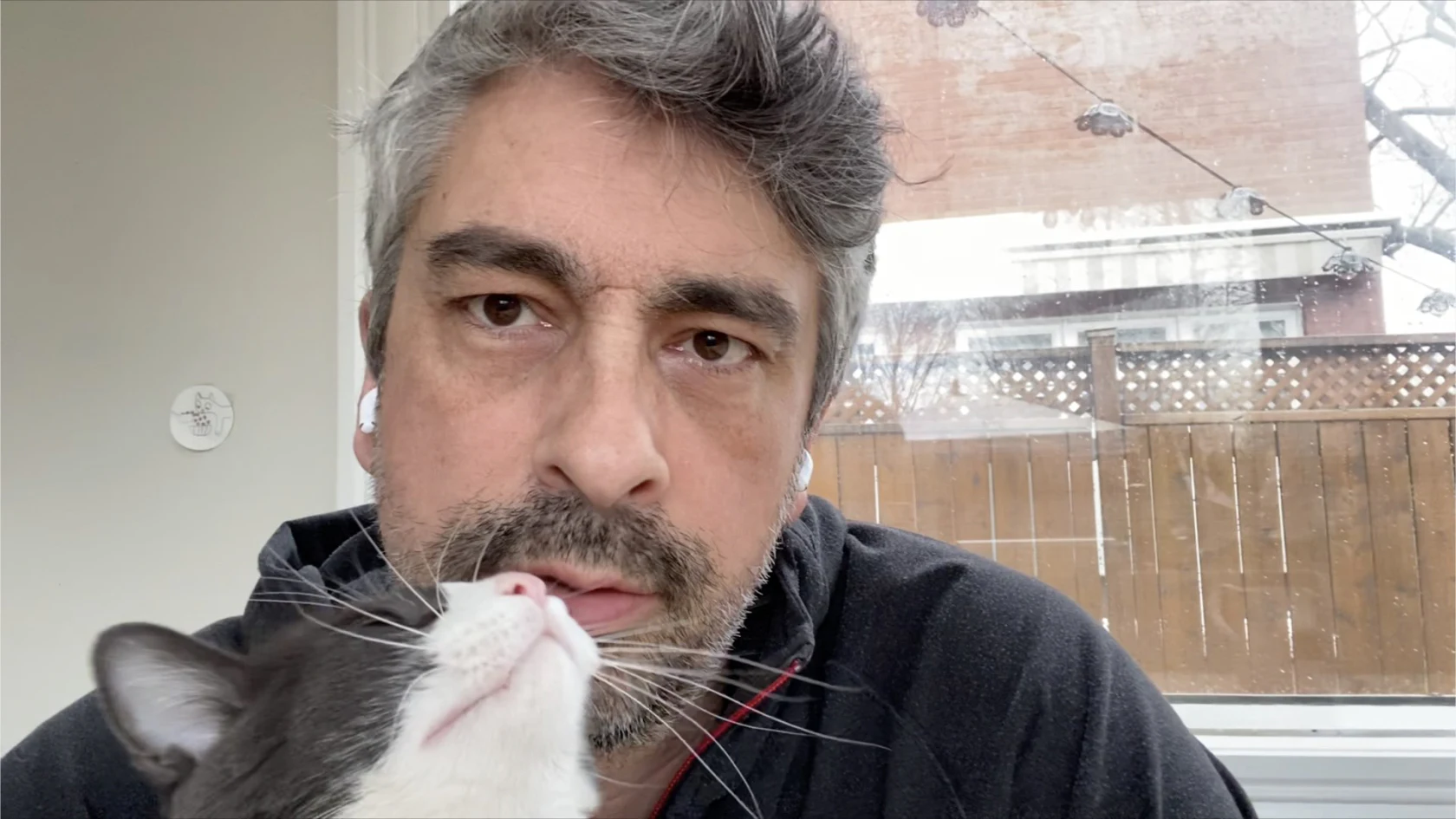 Homme avec un chat devant son visage lors d’un appel vidéo.