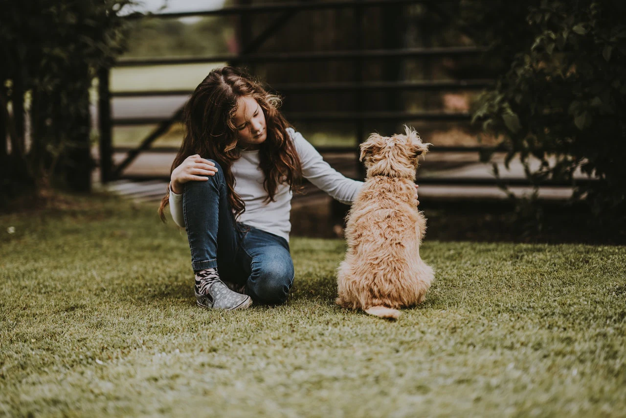 Personne assise dans l’herbe face à un chien.