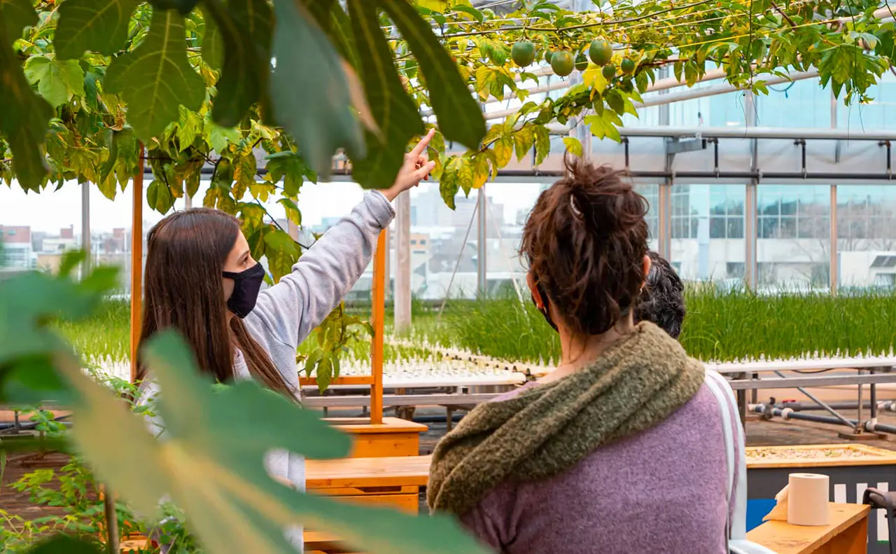 Deux personnes observant des plantes dans un jardin intérieur.