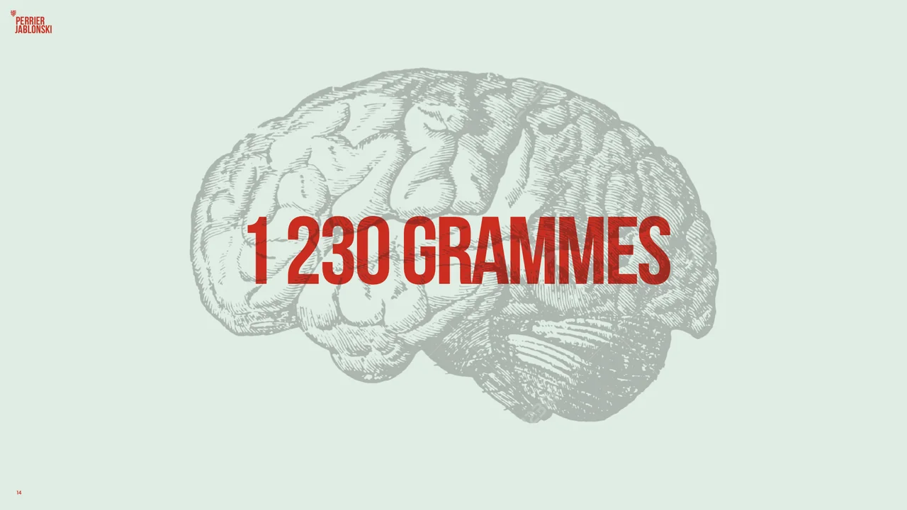 Le cerveau d’Einstein pesait 1 230 grammes.
